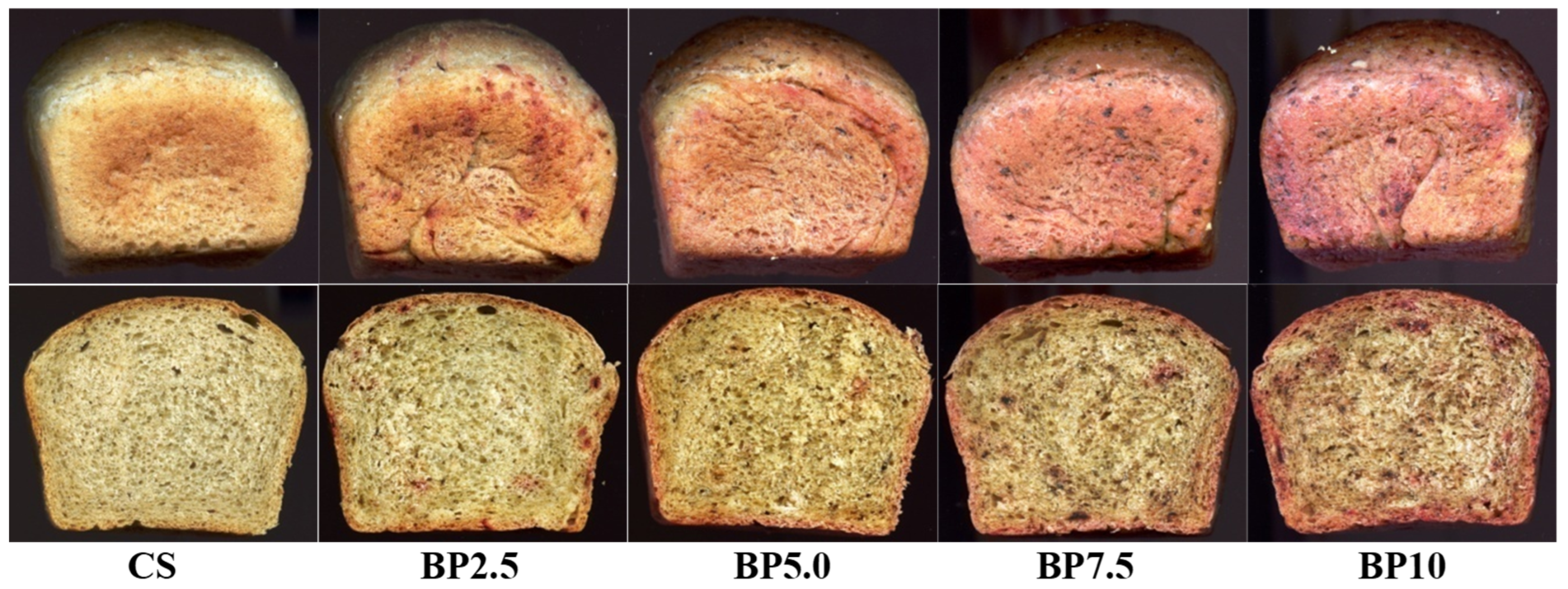 Applsci 15 11408 g003 Applsci 15 11408 g003