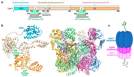 Applsci 15 11425 g001