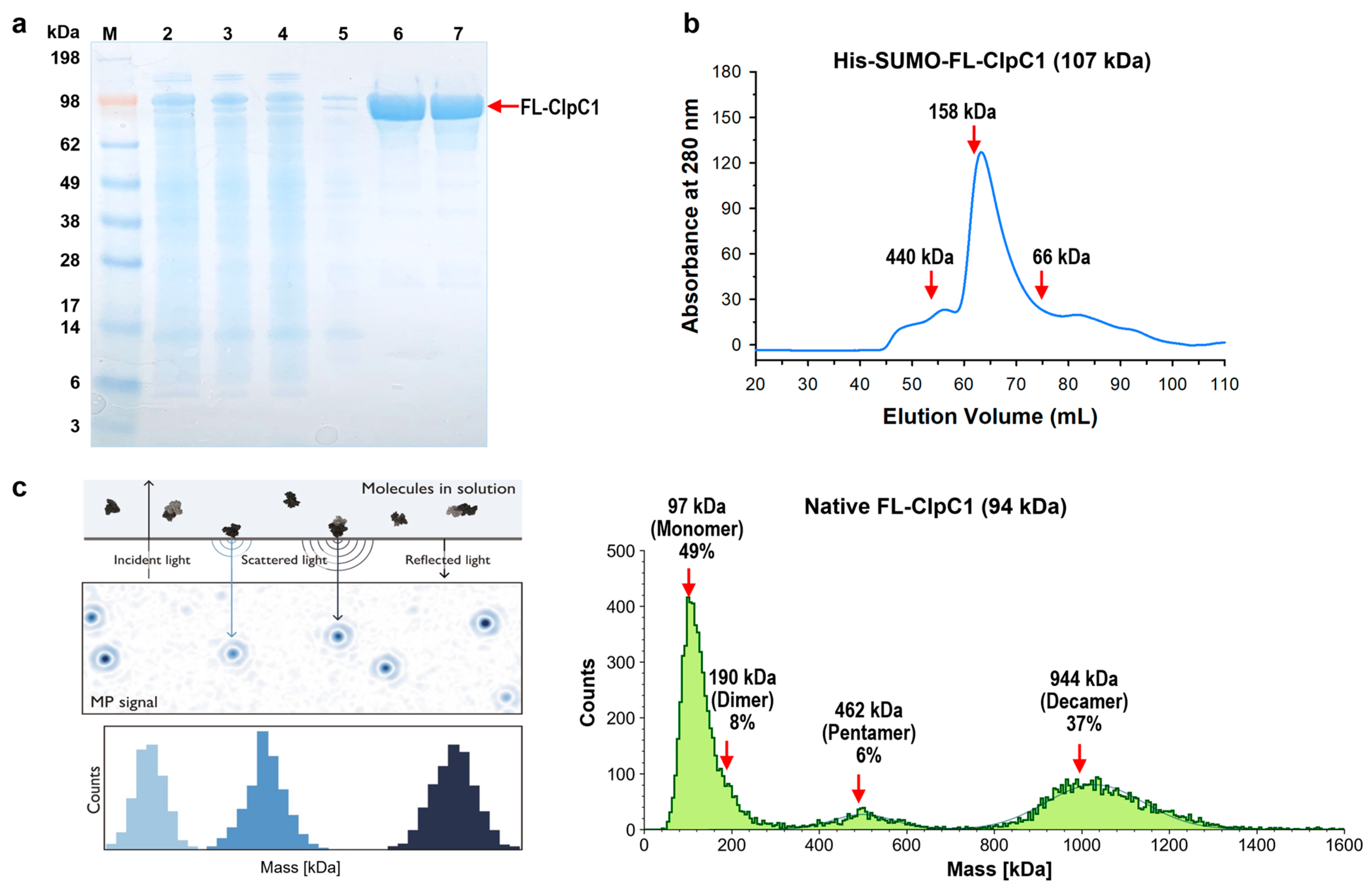 Applsci 15 11425 g003