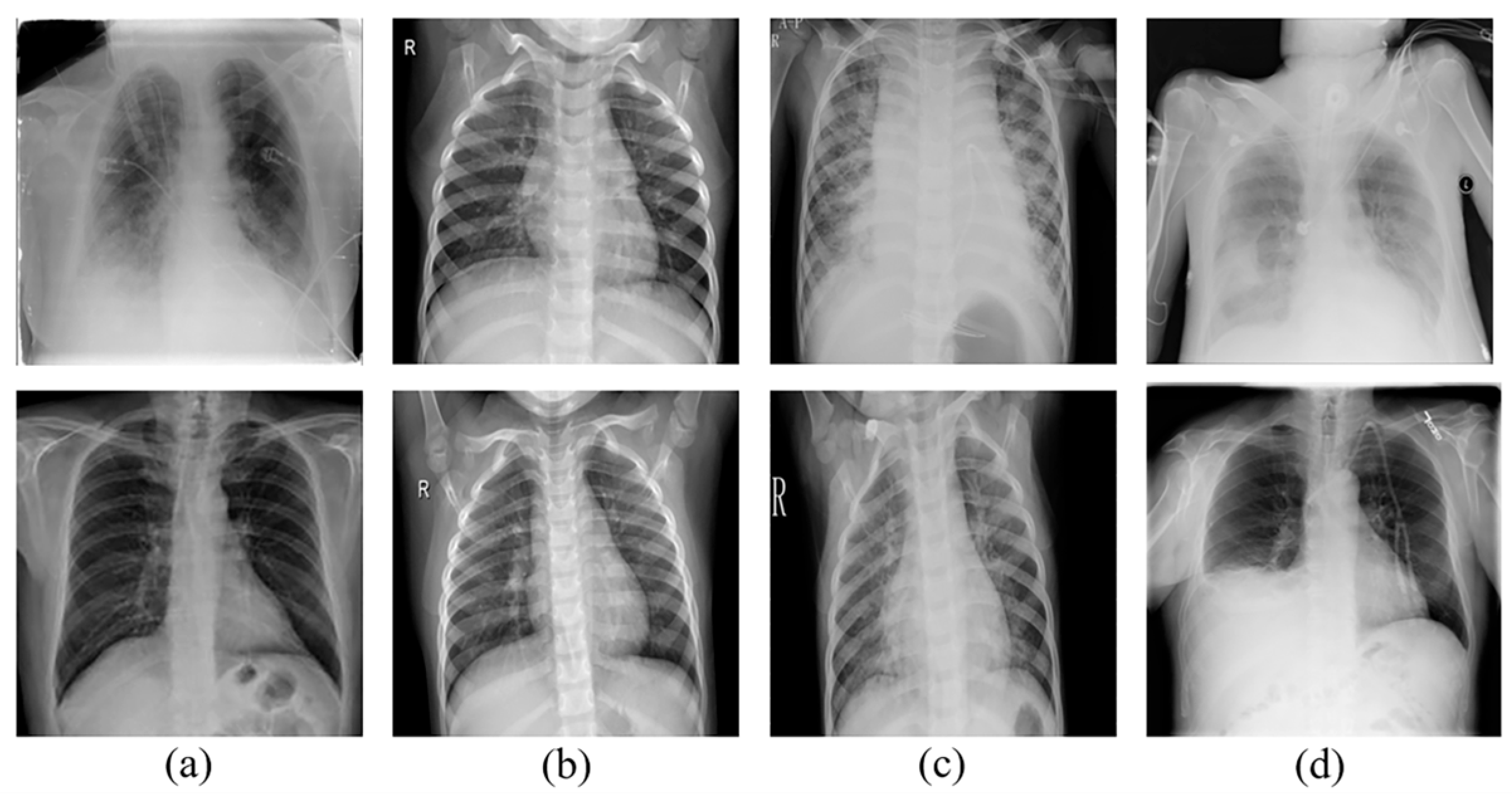 Applsci 15 11426 g001