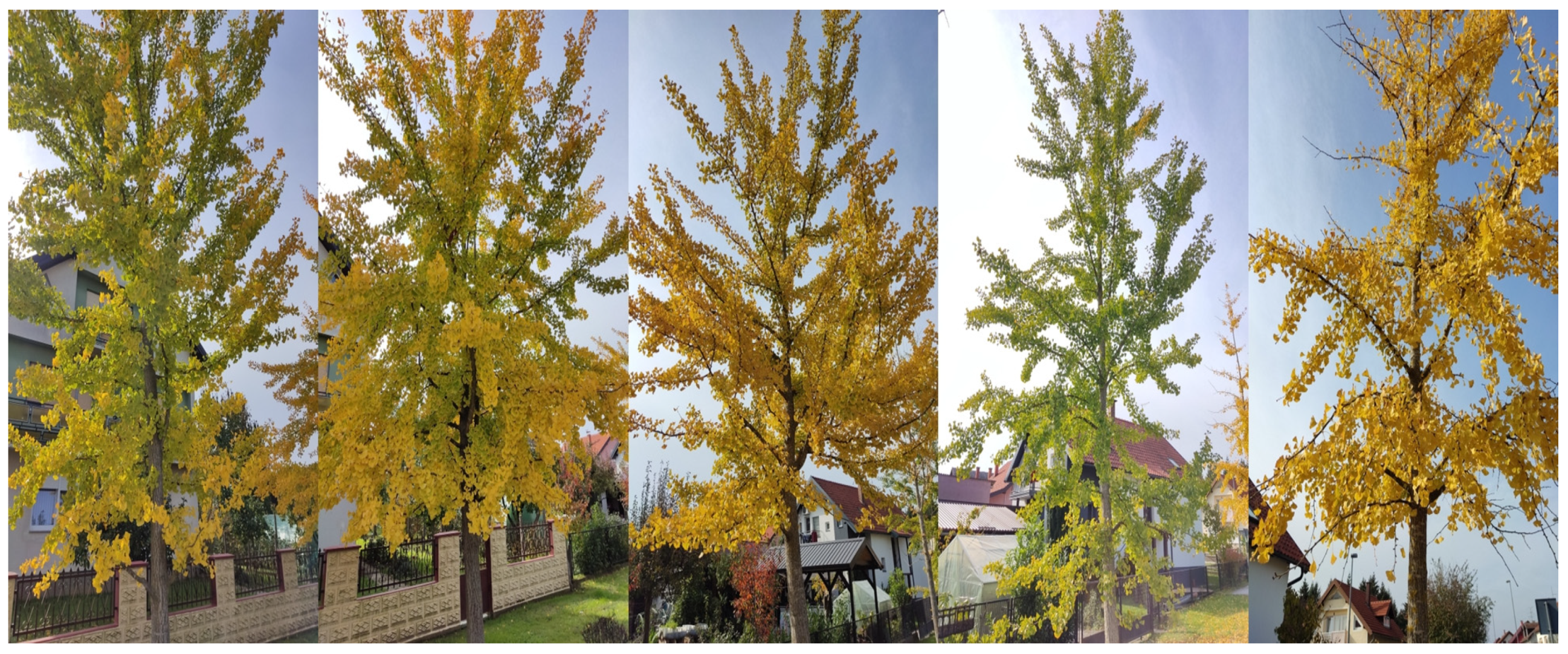 Applsci 15 11436 g001