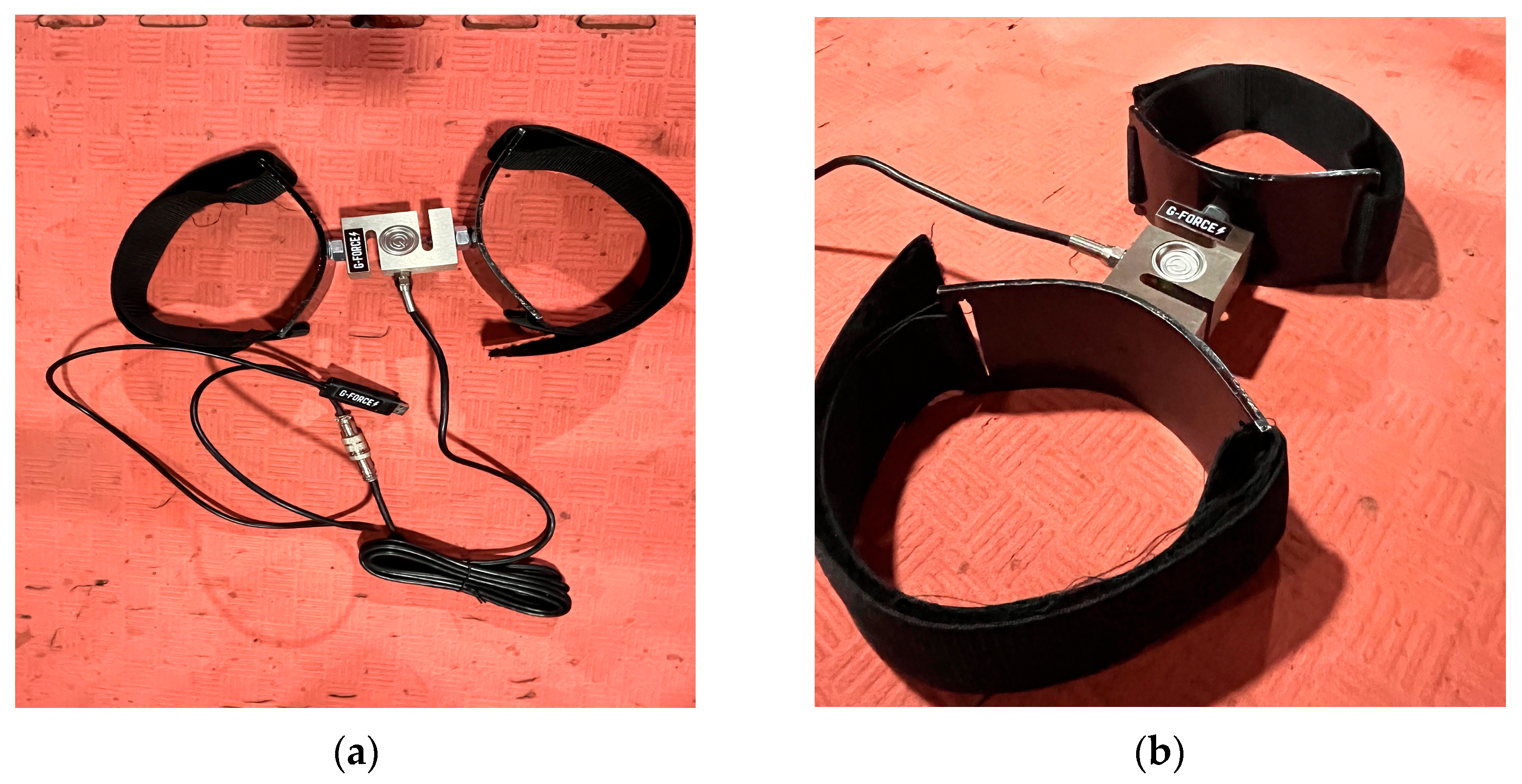 Applsci 15 11457 g001