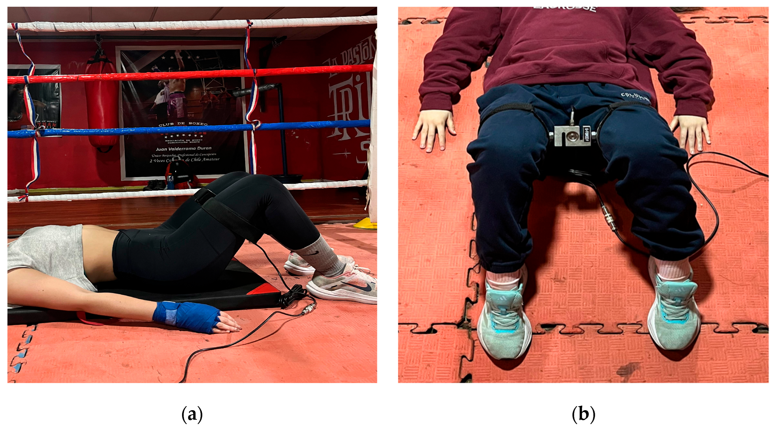 Applsci 15 11457 g003