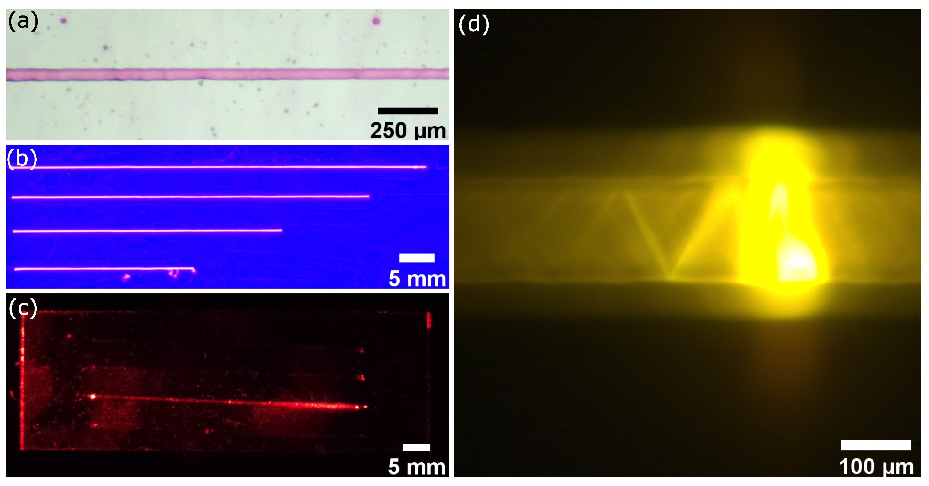 Applsci 15 11459 g002 Applsci 15 11459 g002