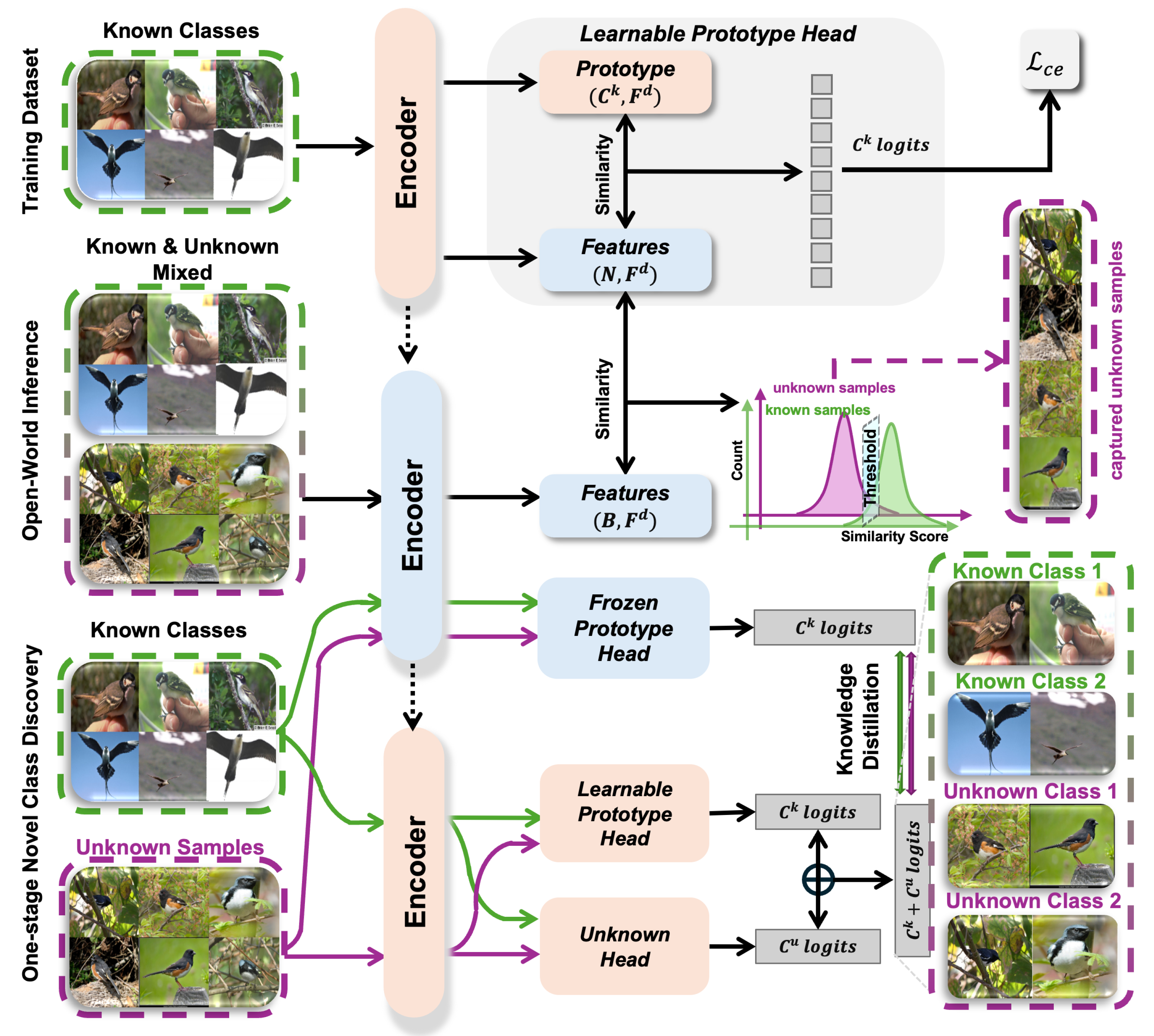 Applsci 15 11468 g003 Applsci 15 11468 g003