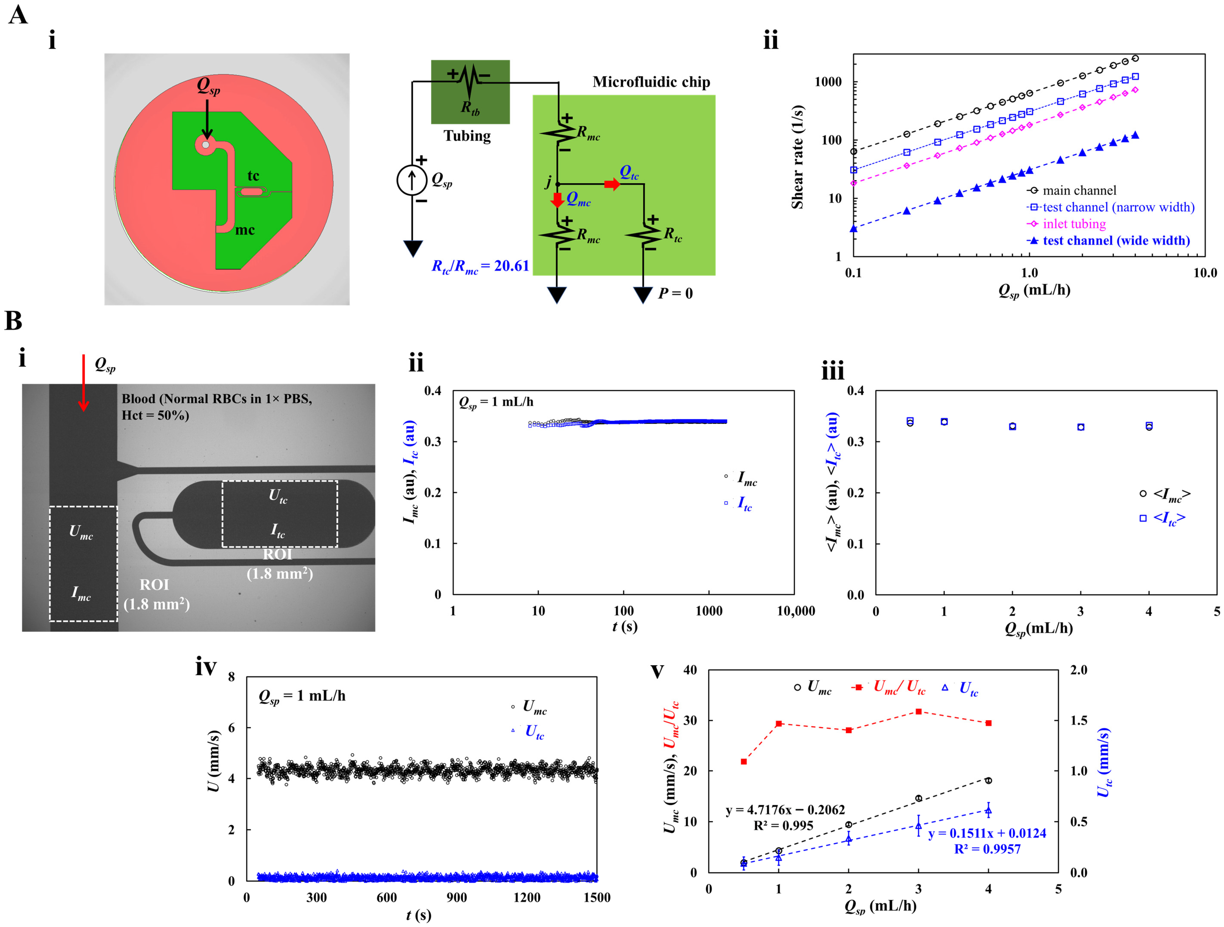 Applsci 15 11481 g002 Applsci 15 11481 g002