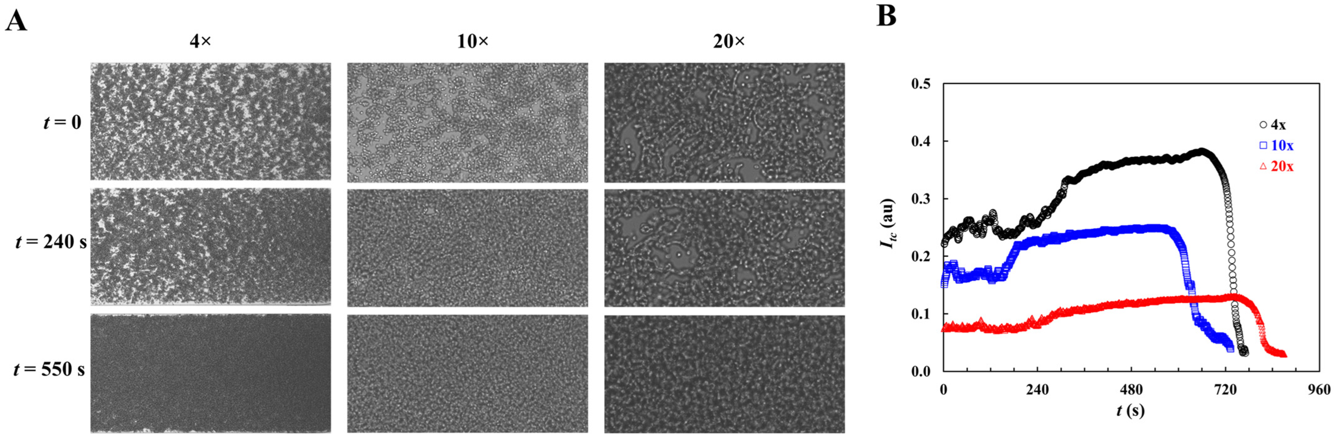 Applsci 15 11481 g0a1 Applsci 15 11481 g0a1