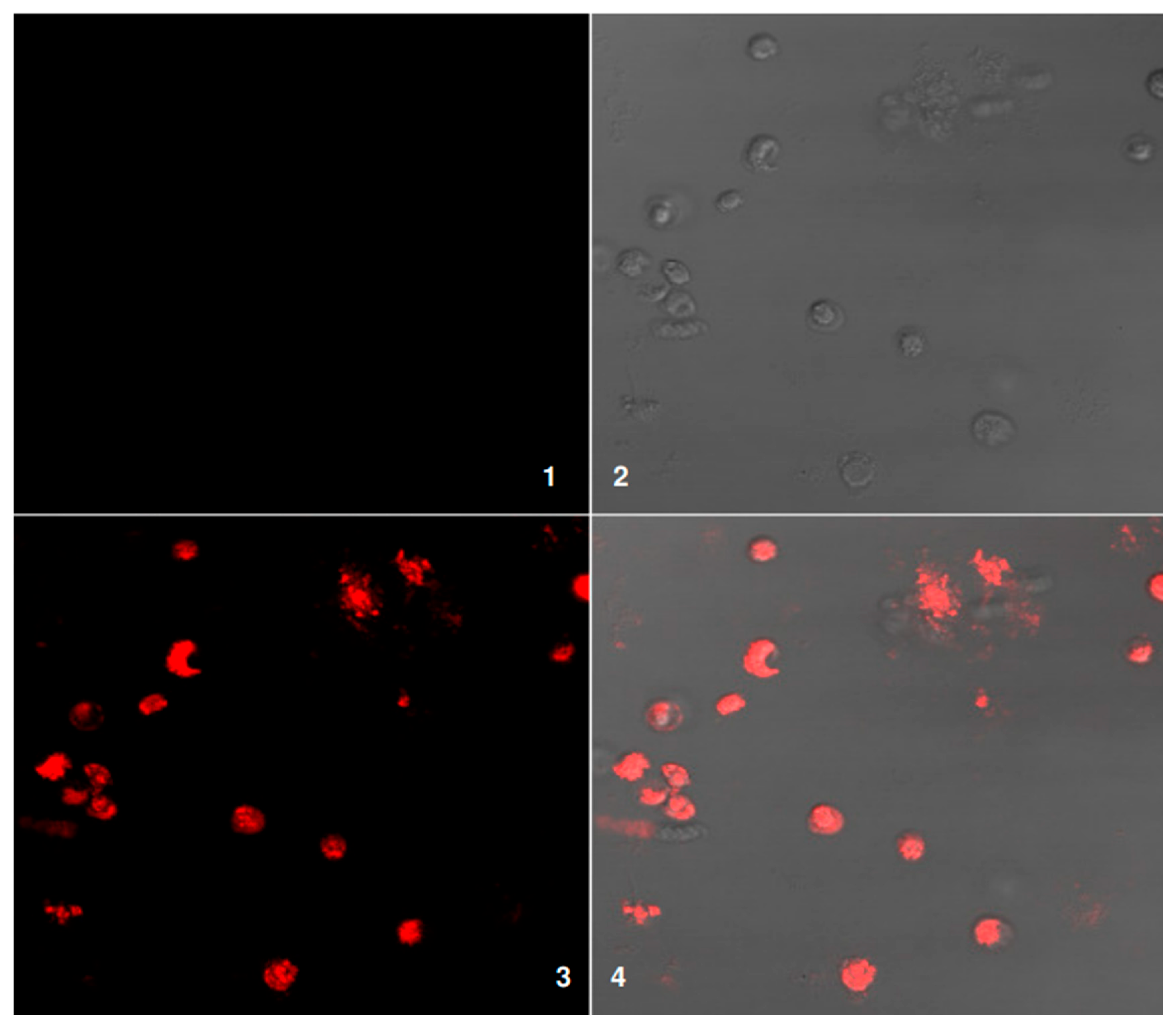 Applsci 15 11500 g008 Applsci 15 11500 g008