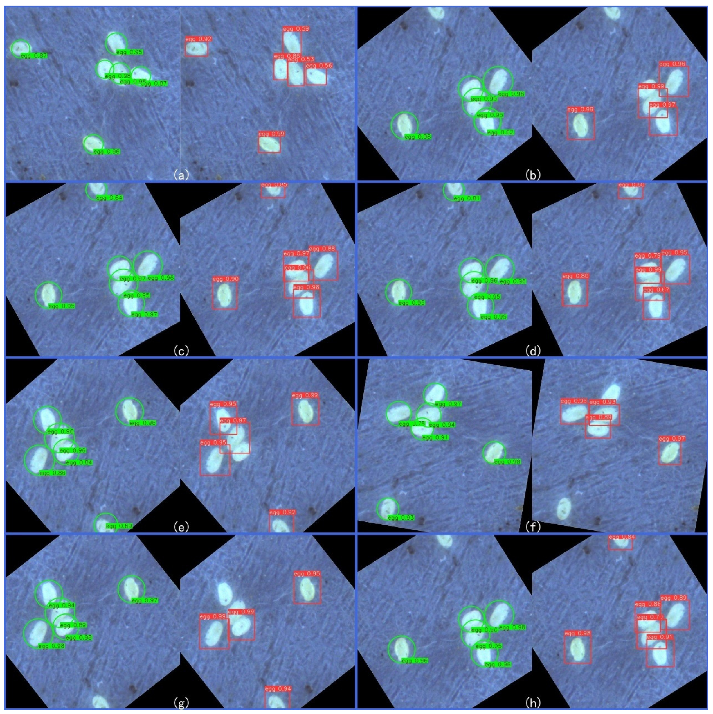 Applsci 15 11501 g007