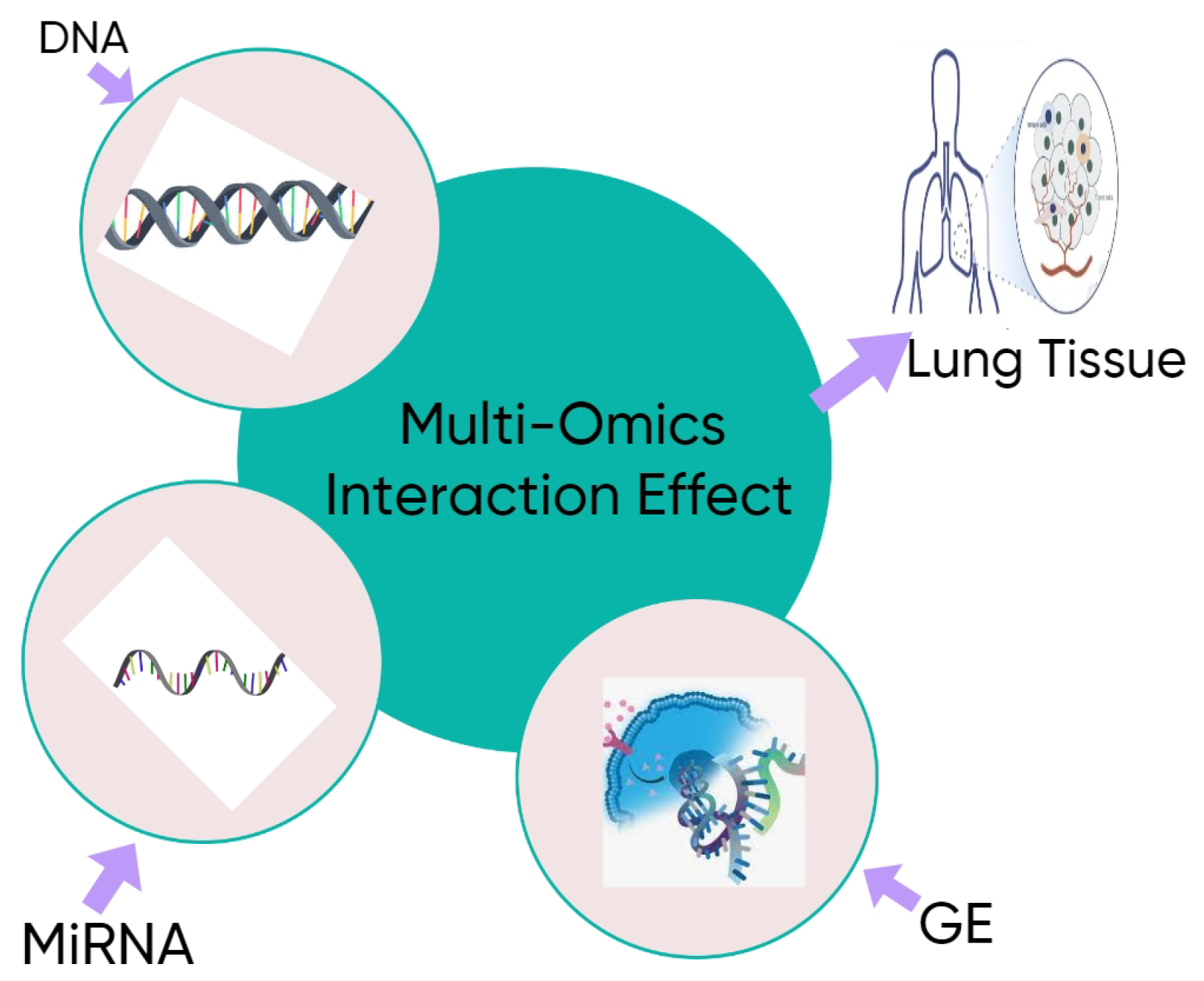 Applsci 15 11506 g001