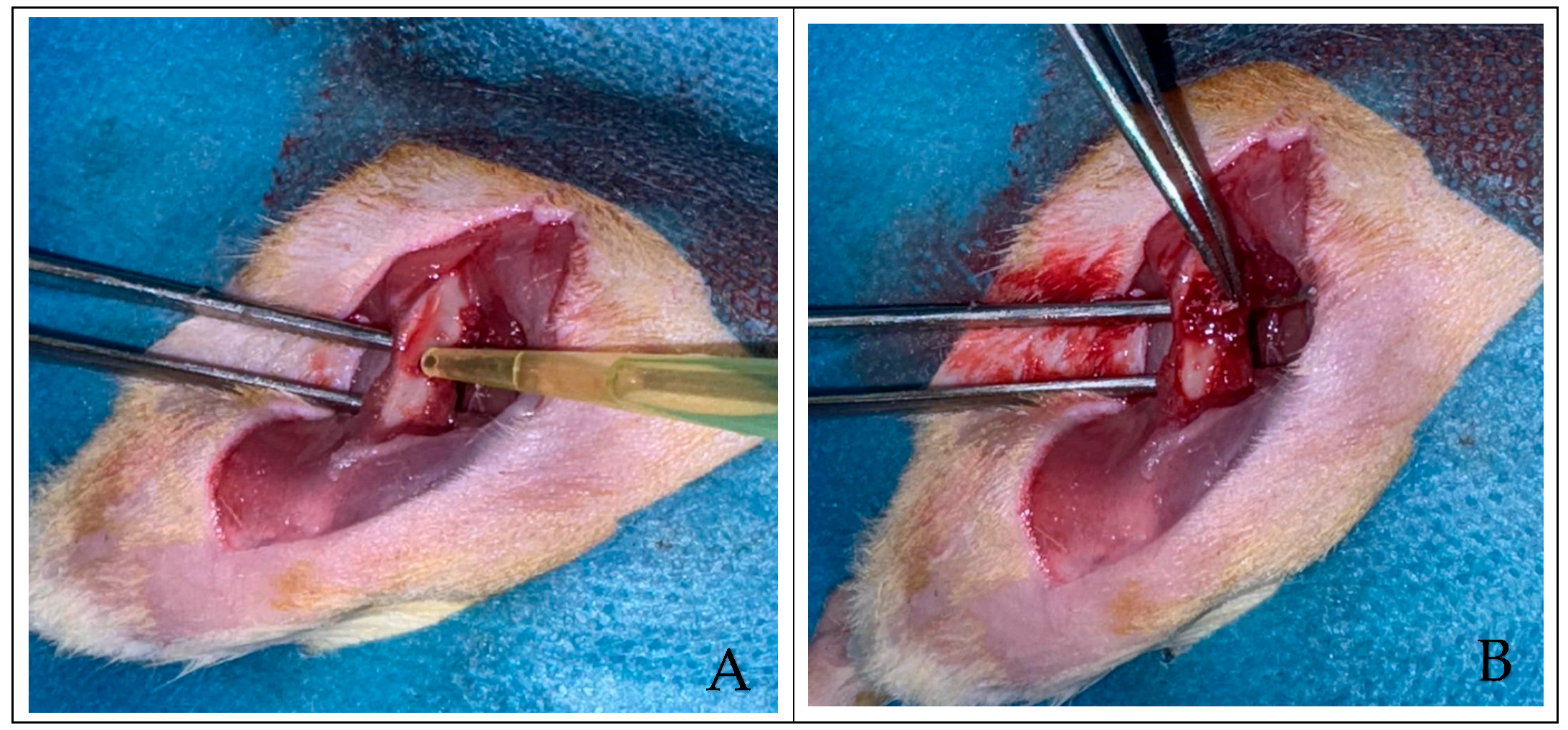 Applsci 15 11511 g001