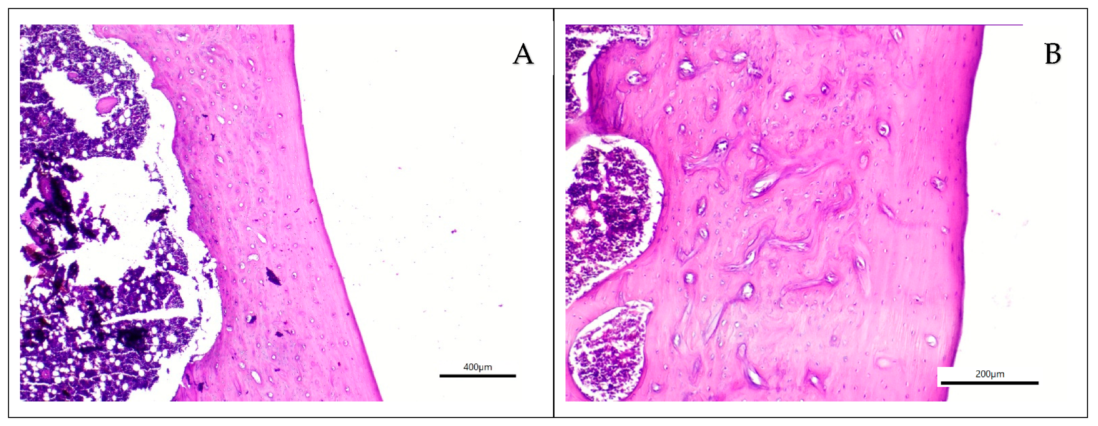 Applsci 15 11511 g002a