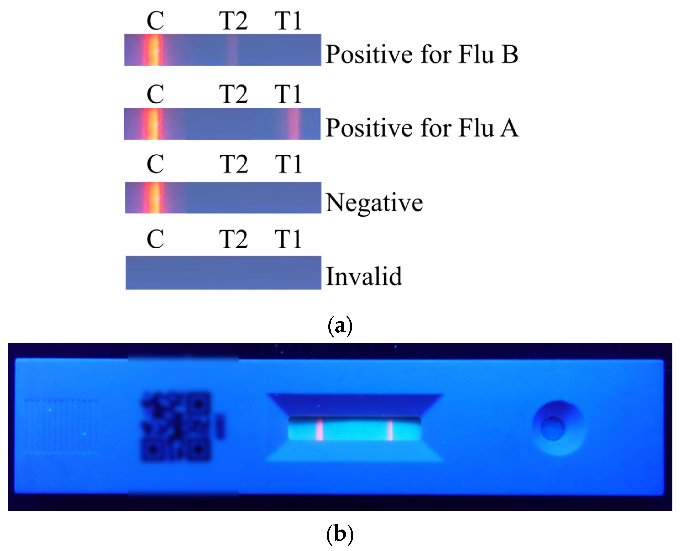 Applsci 15 11523 g002