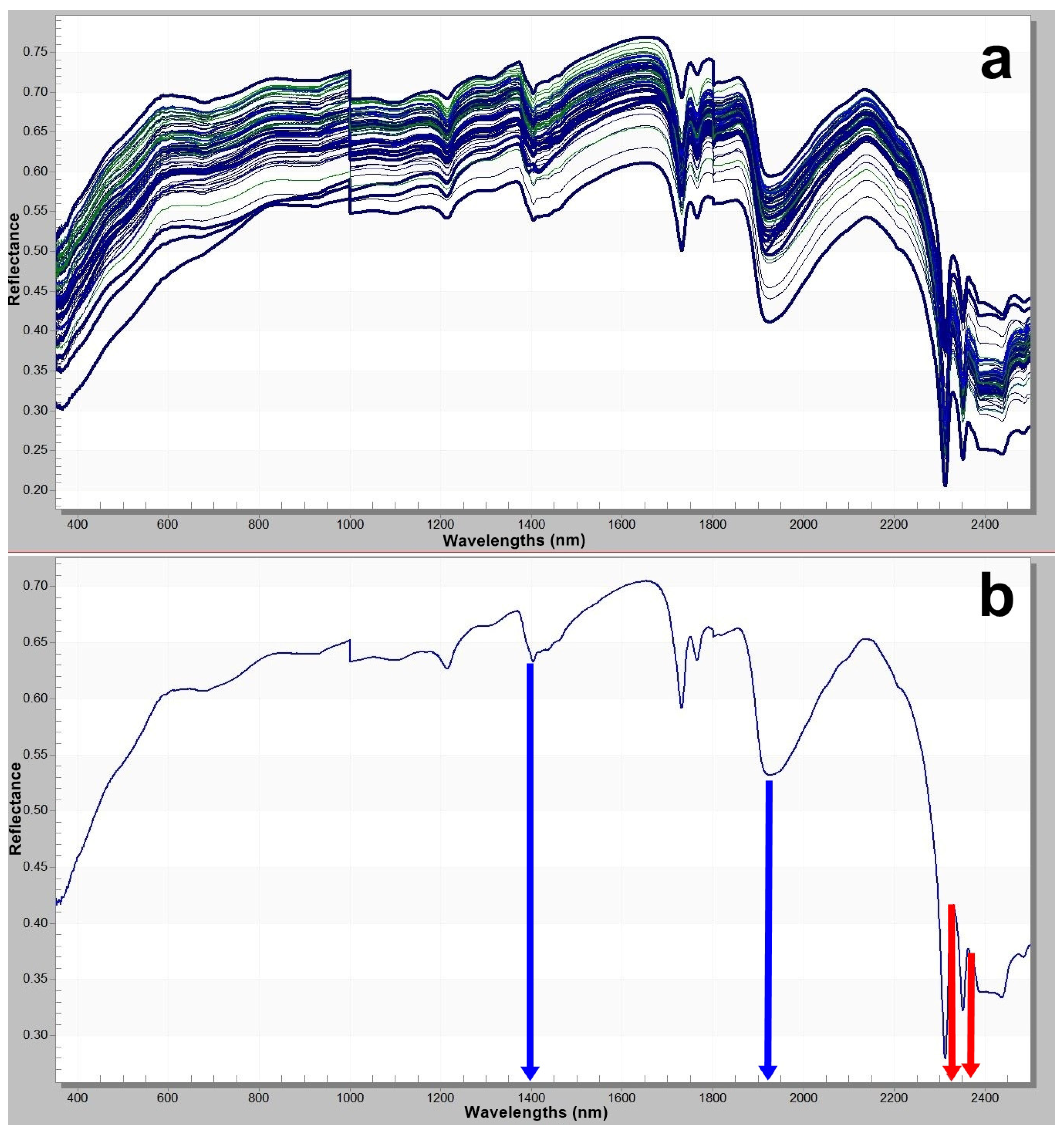Applsci 15 11536 g004