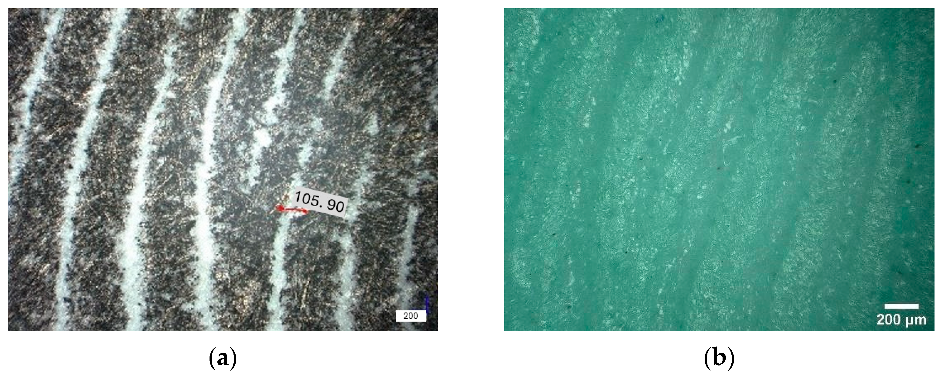 Applsci 15 11539 g003