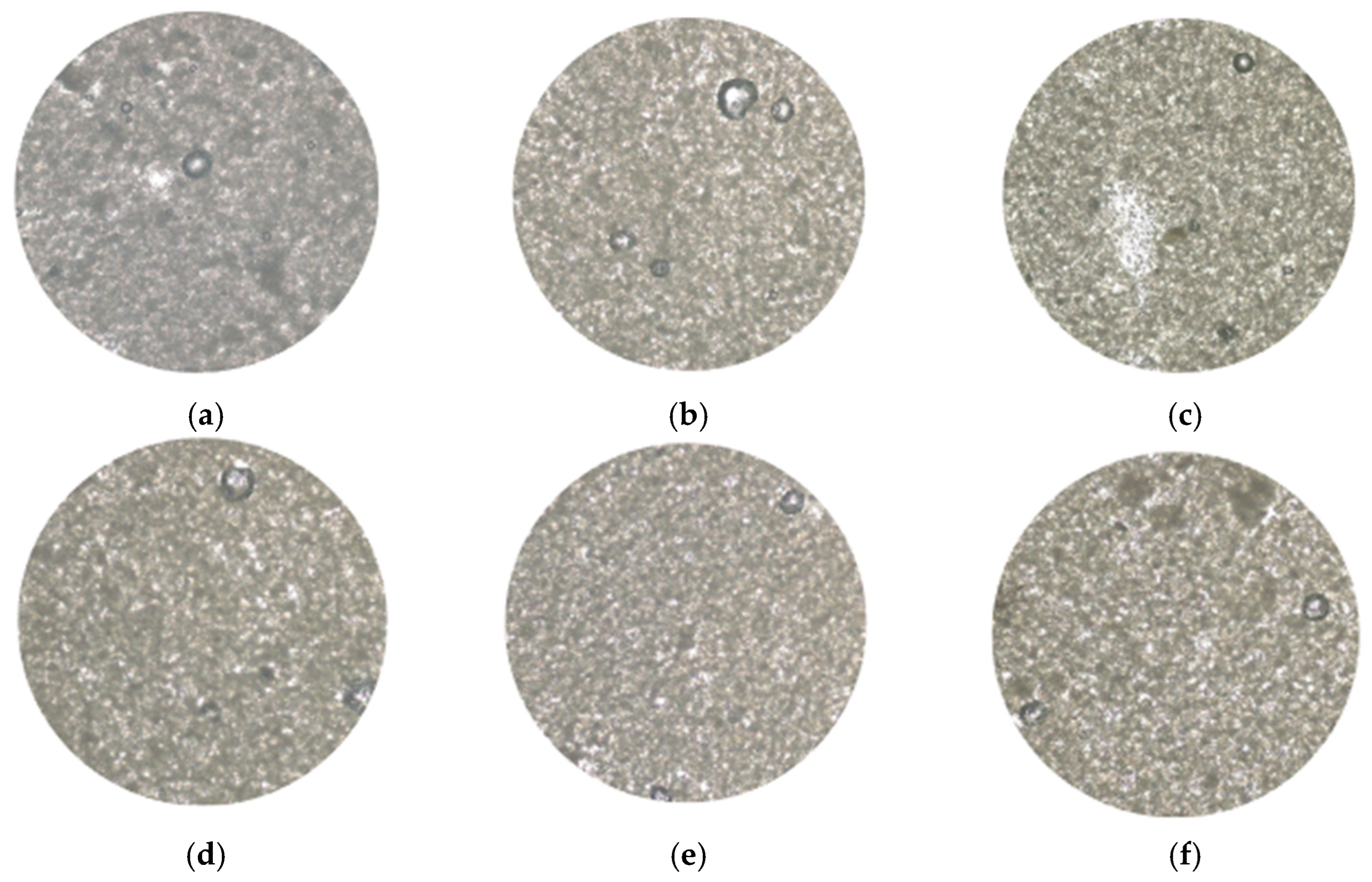 Applsci 15 11545 g004 Applsci 15 11545 g004