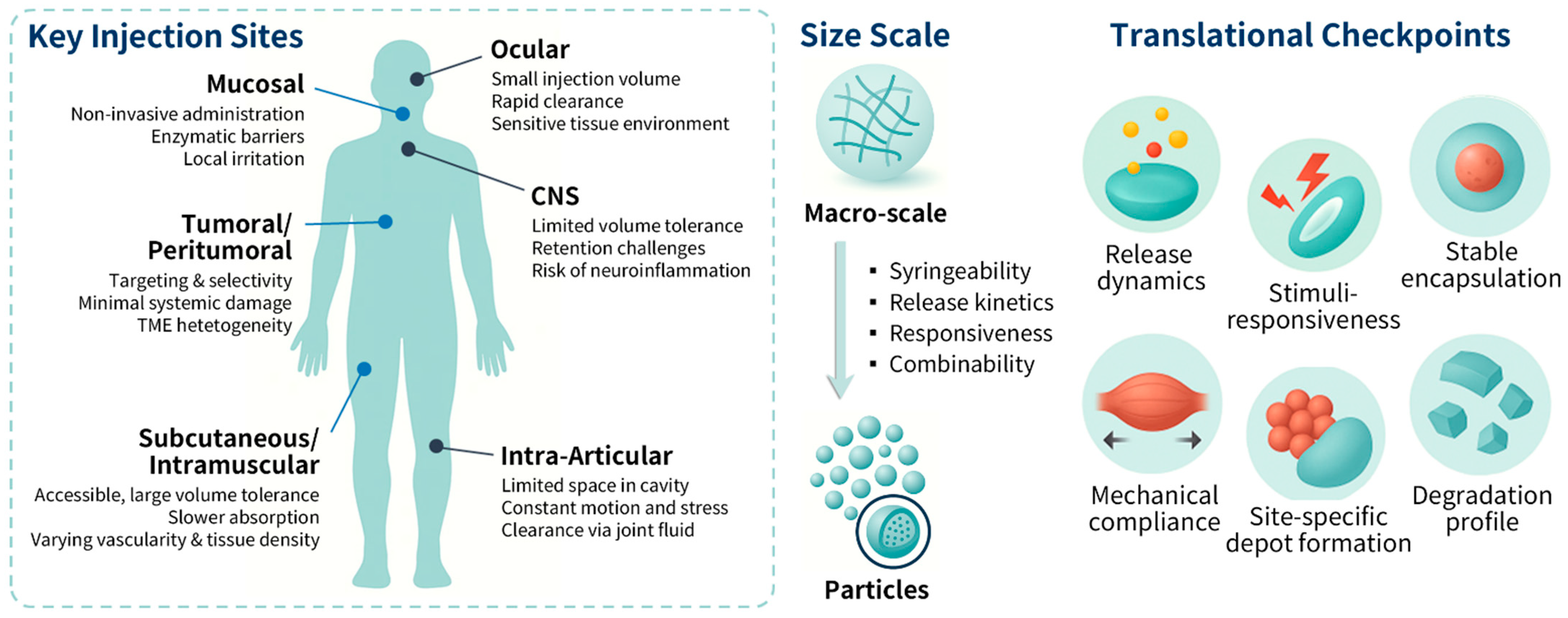 Applsci 15 11599 g001