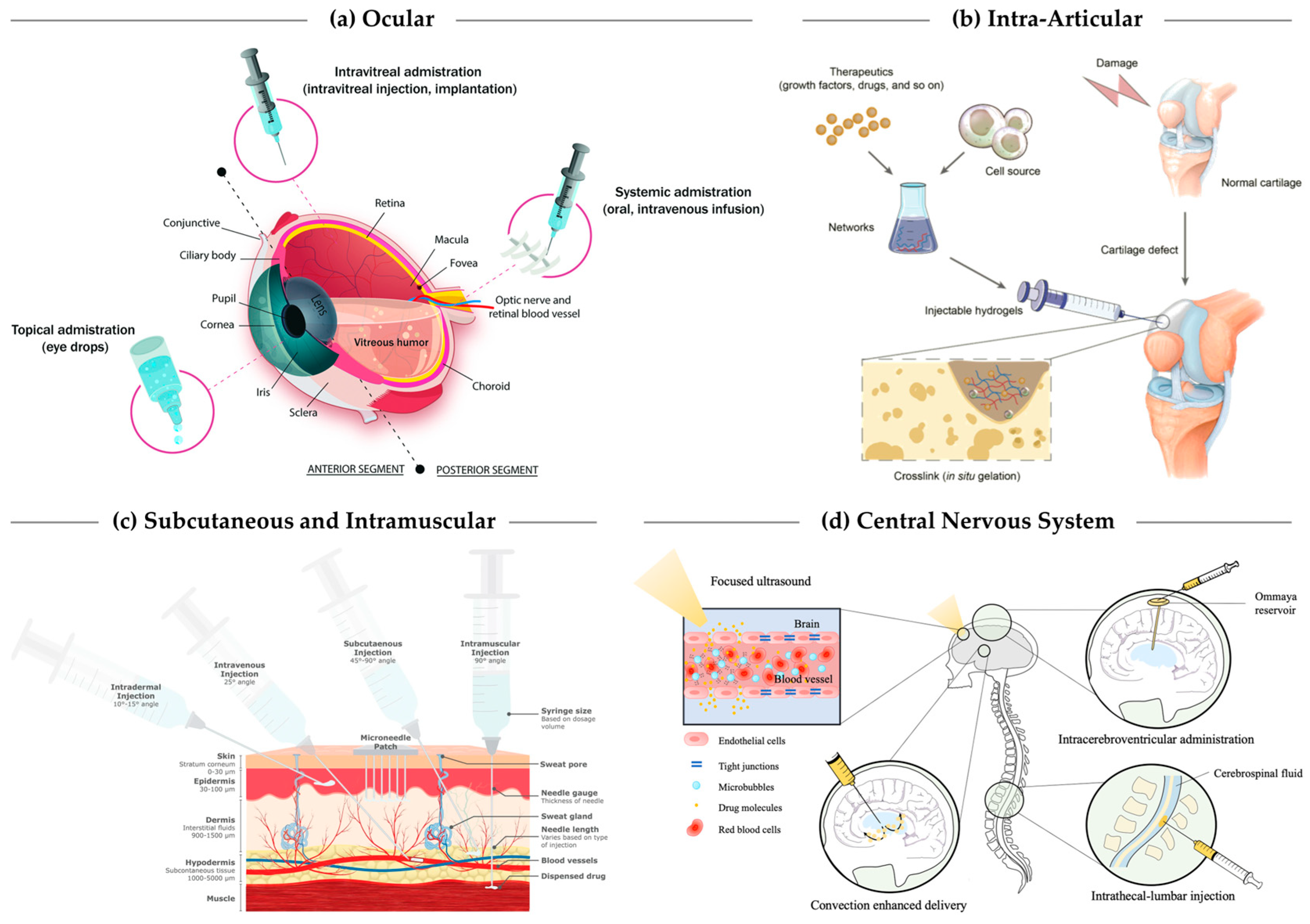 Applsci 15 11599 g002