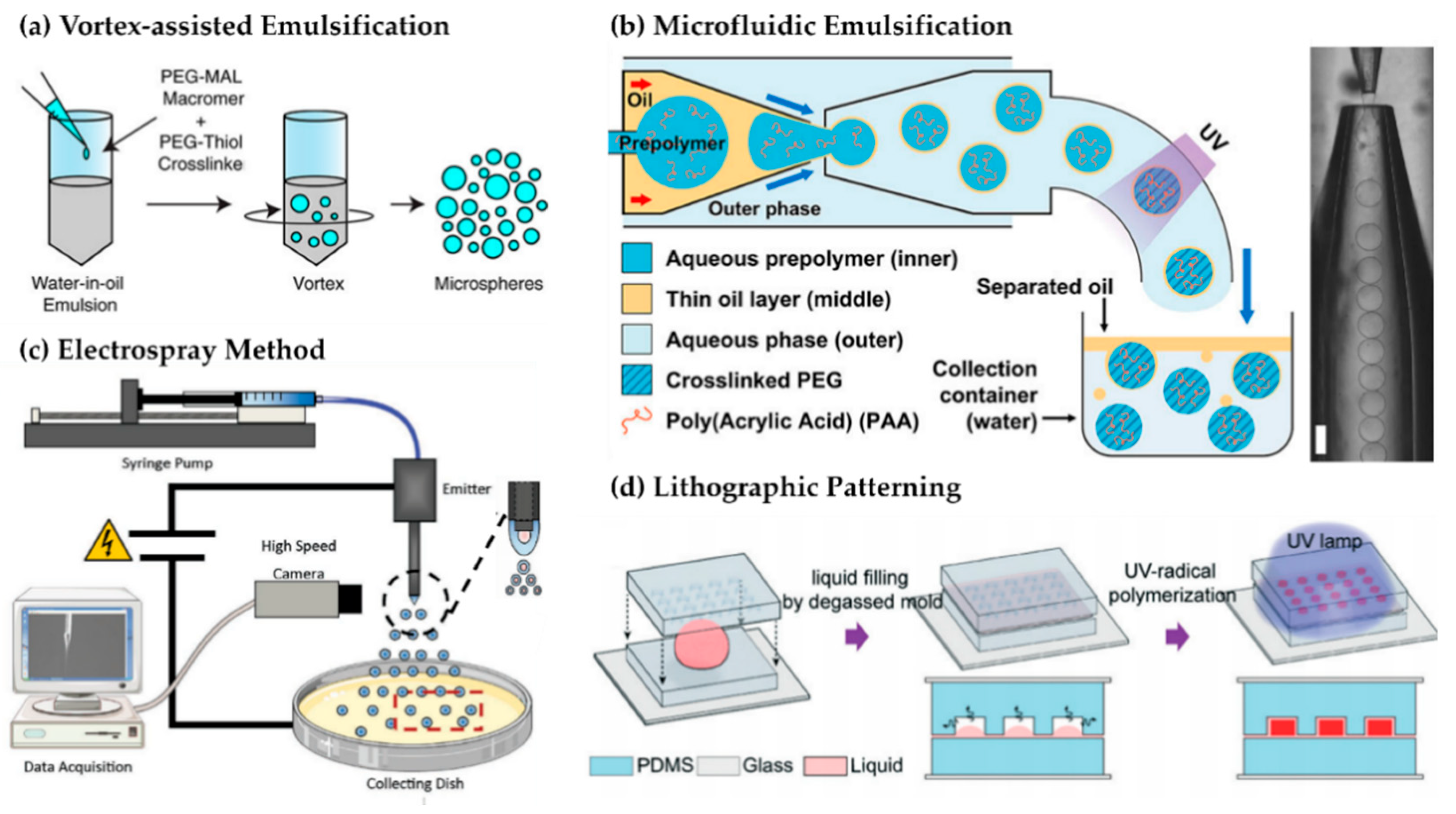 Applsci 15 11599 g003