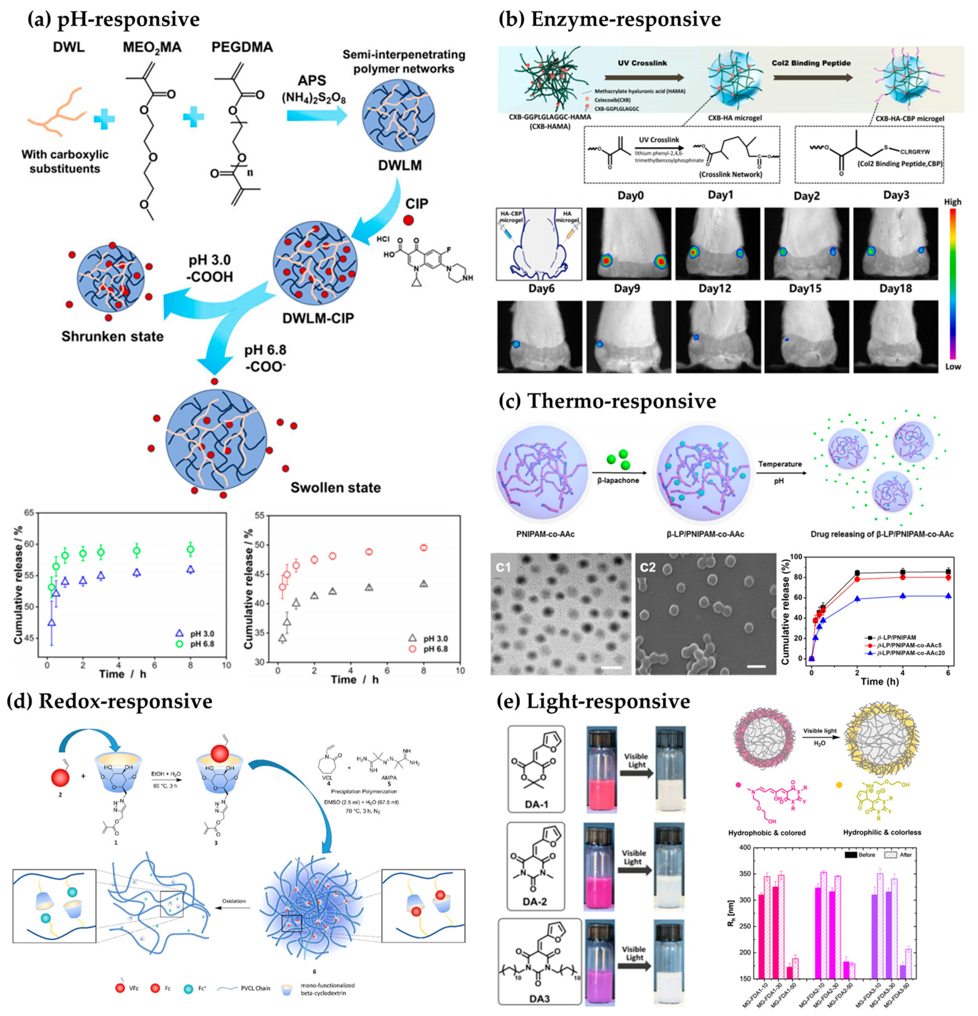 Applsci 15 11599 g004