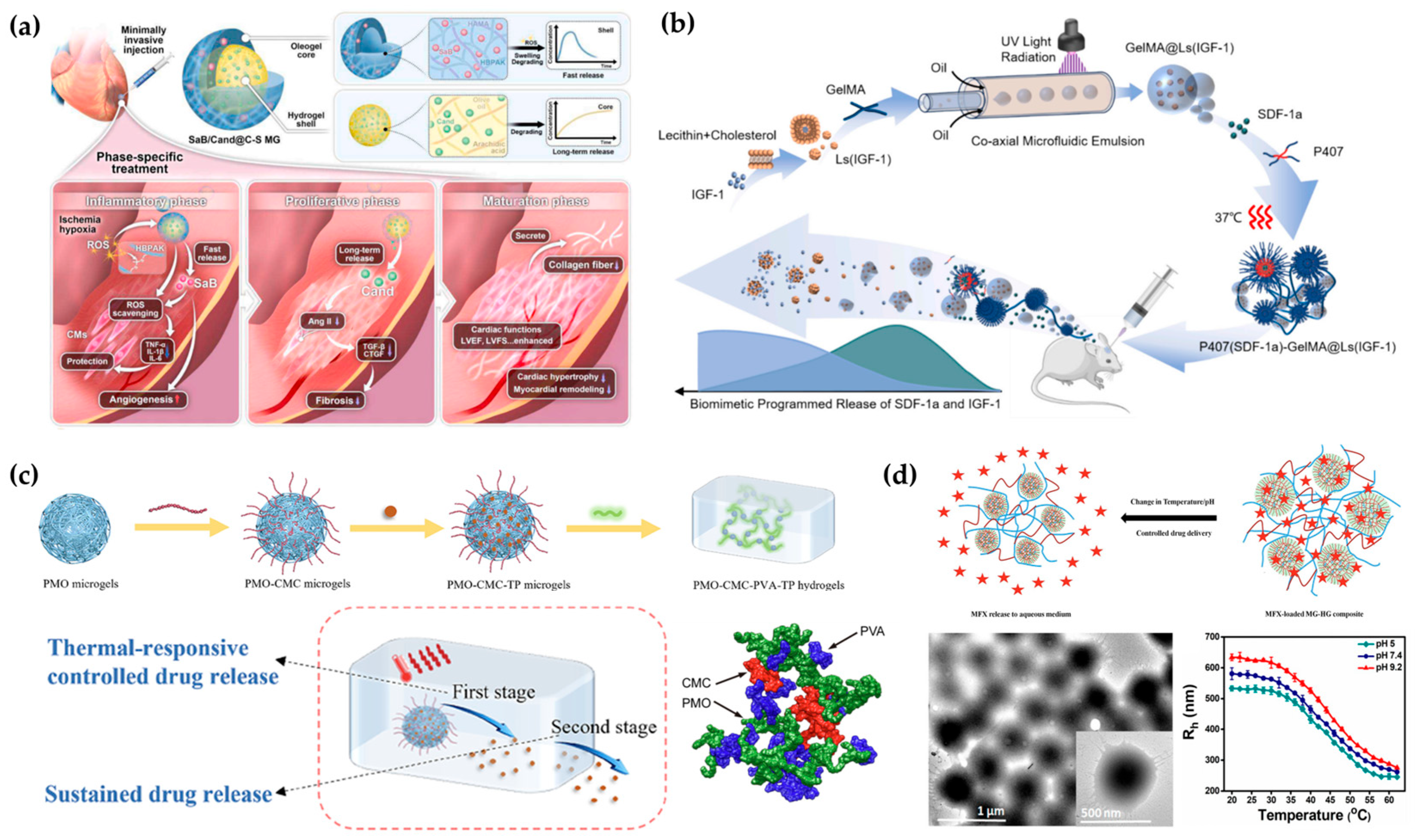 Applsci 15 11599 g005