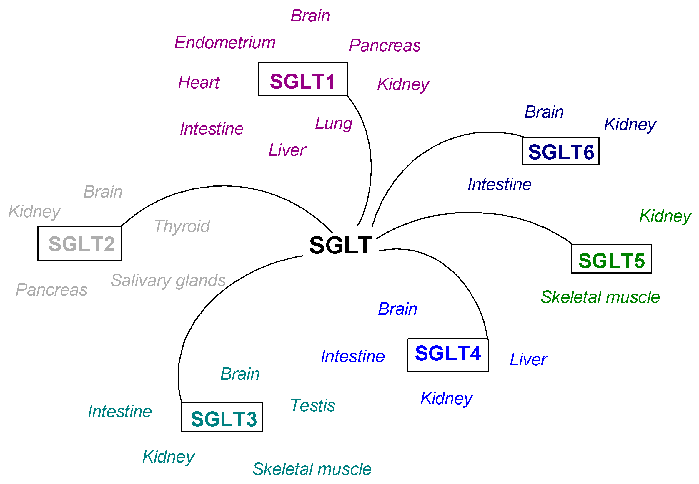 Applsci 15 11603 g001