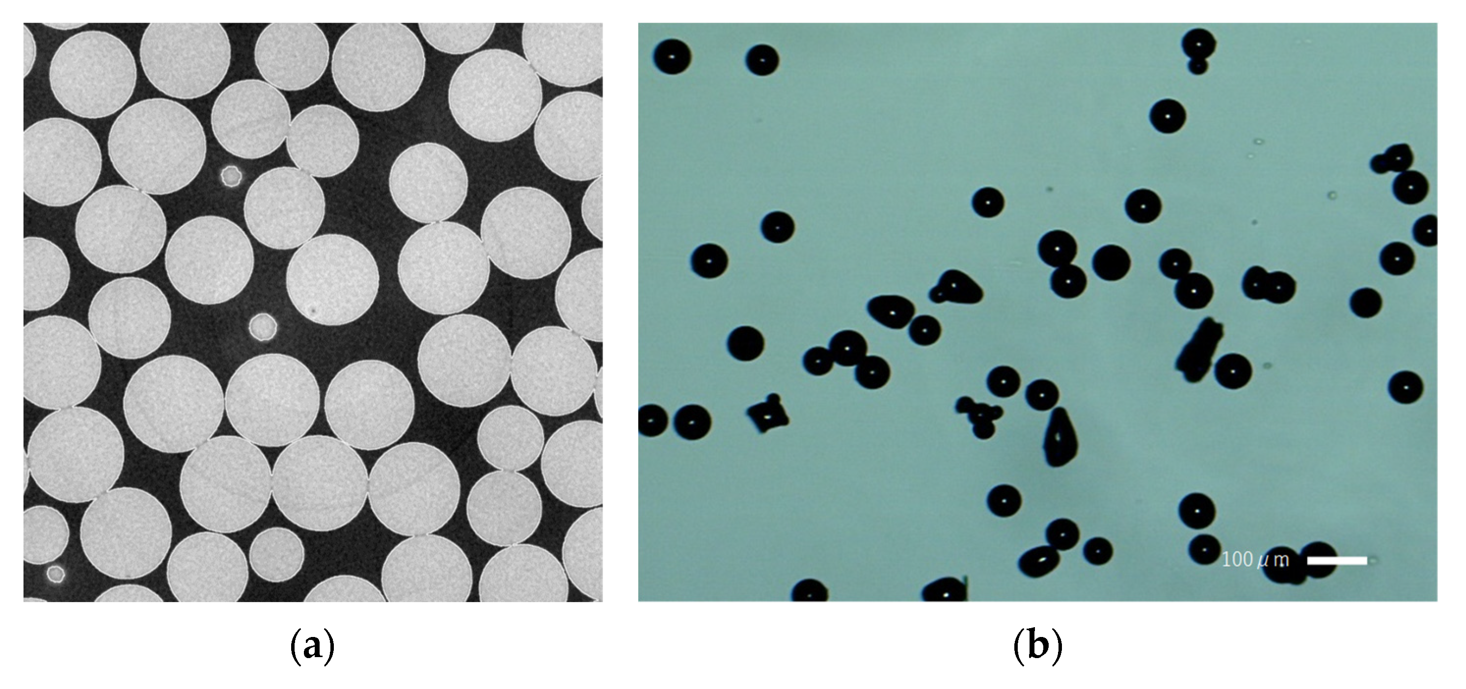 Applsci 15 11614 g010 Applsci 15 11614 g010