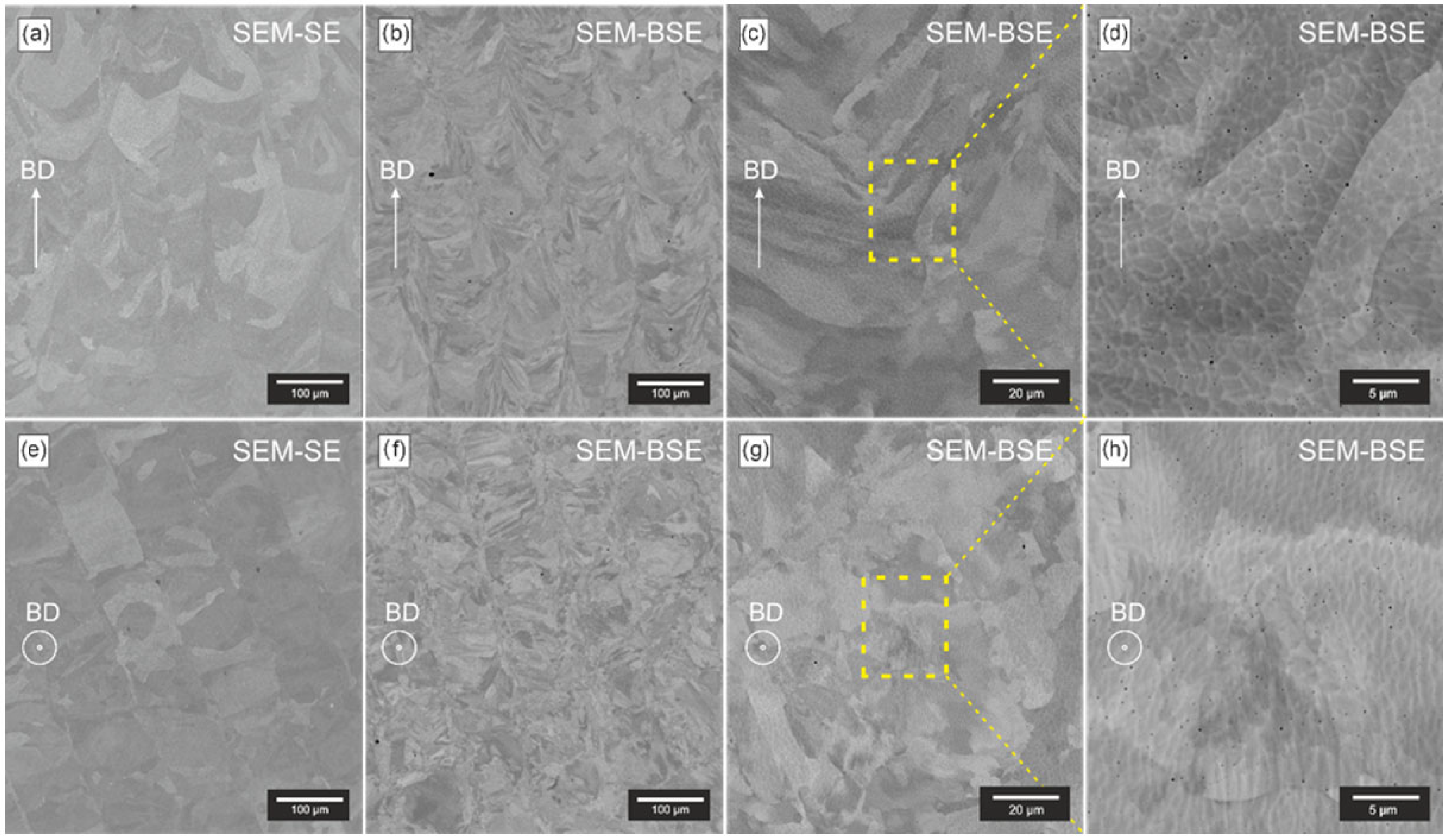 Applsci 15 11624 g006 Applsci 15 11624 g006