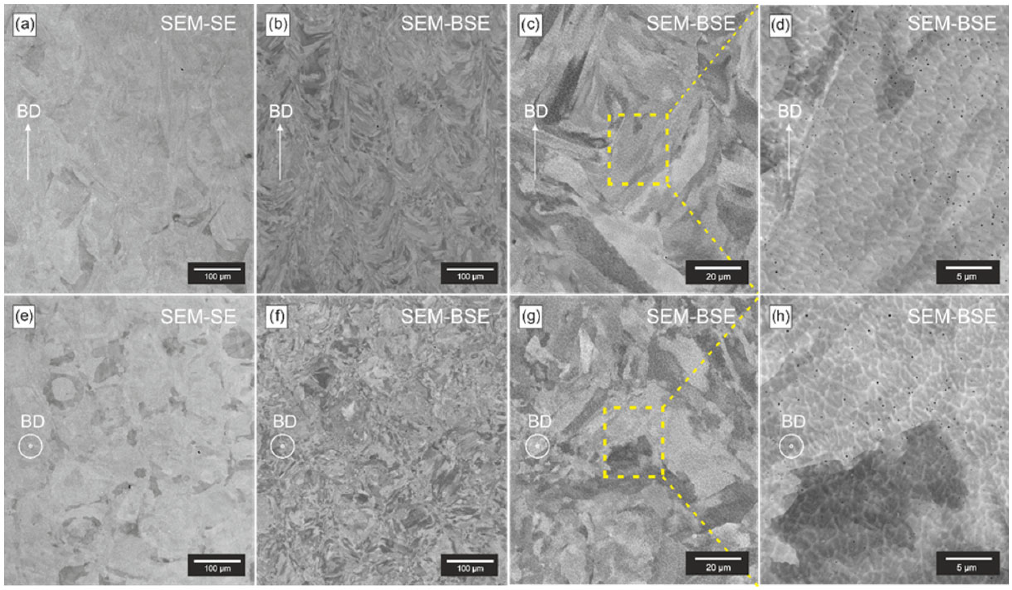 Applsci 15 11624 g007 Applsci 15 11624 g007