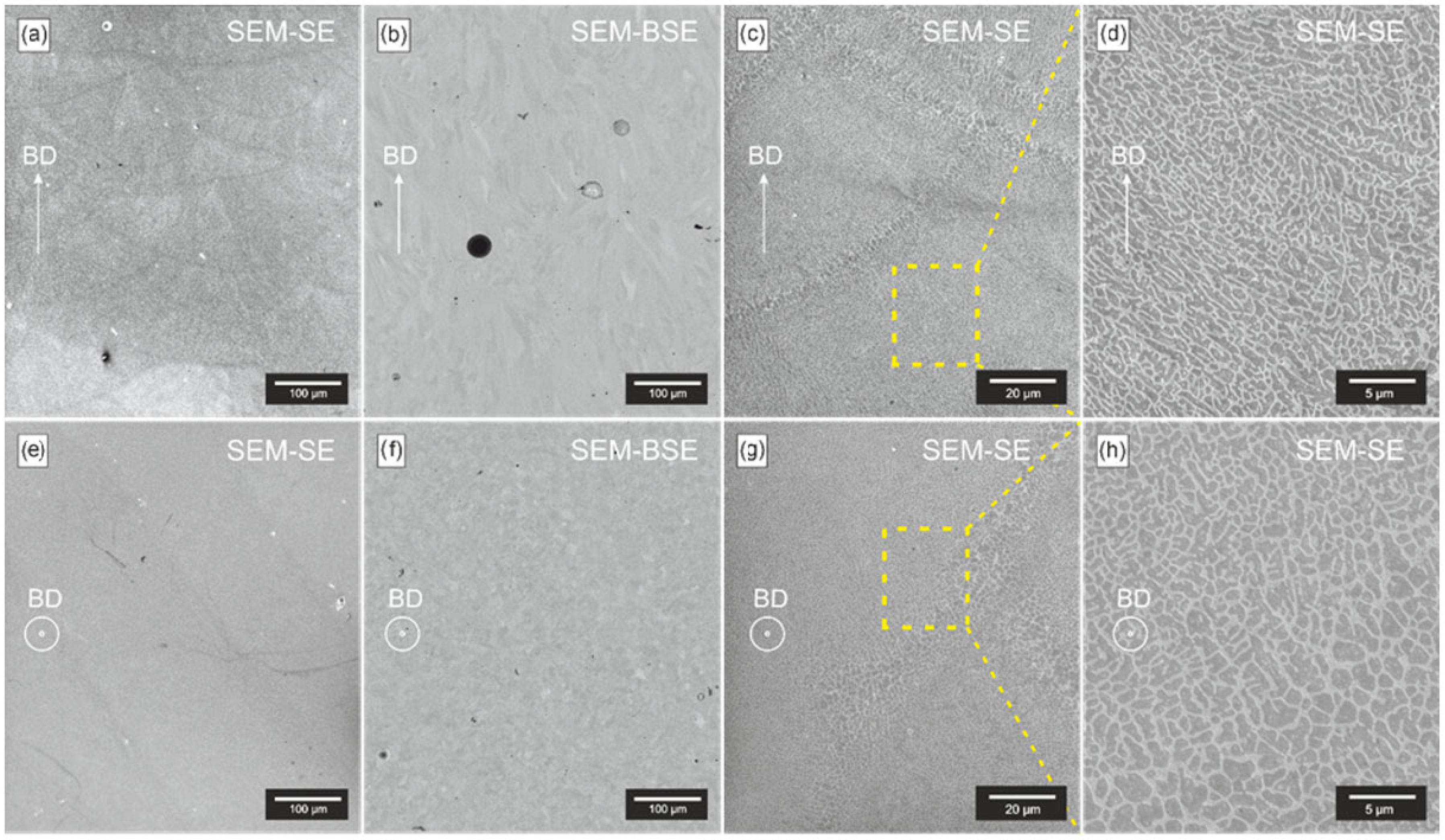 Applsci 15 11624 g008 Applsci 15 11624 g008