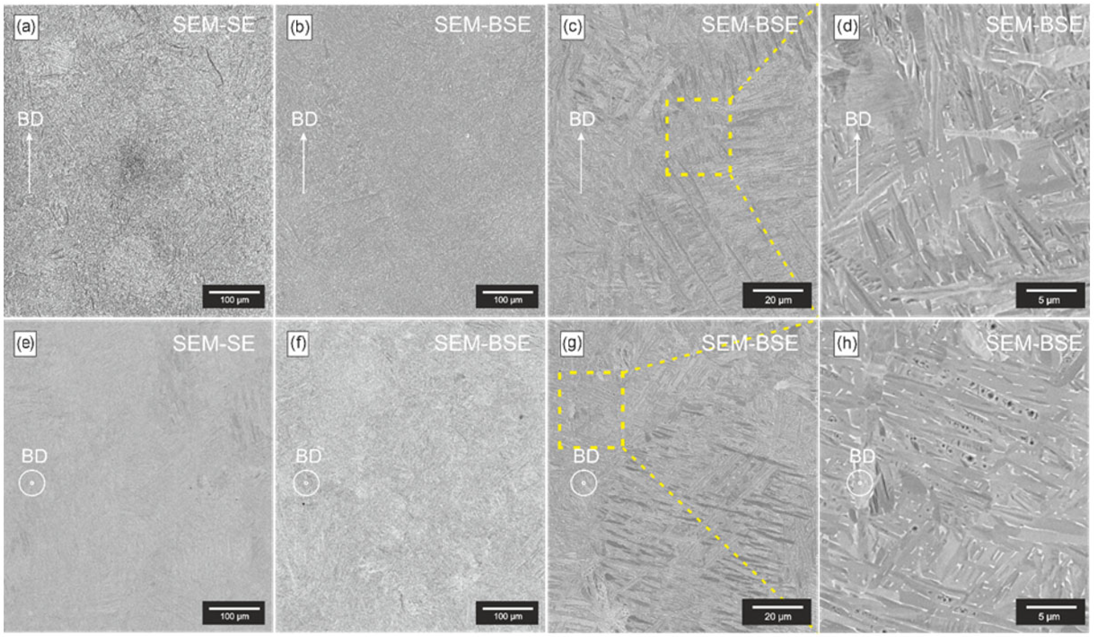 Applsci 15 11624 g010 Applsci 15 11624 g010