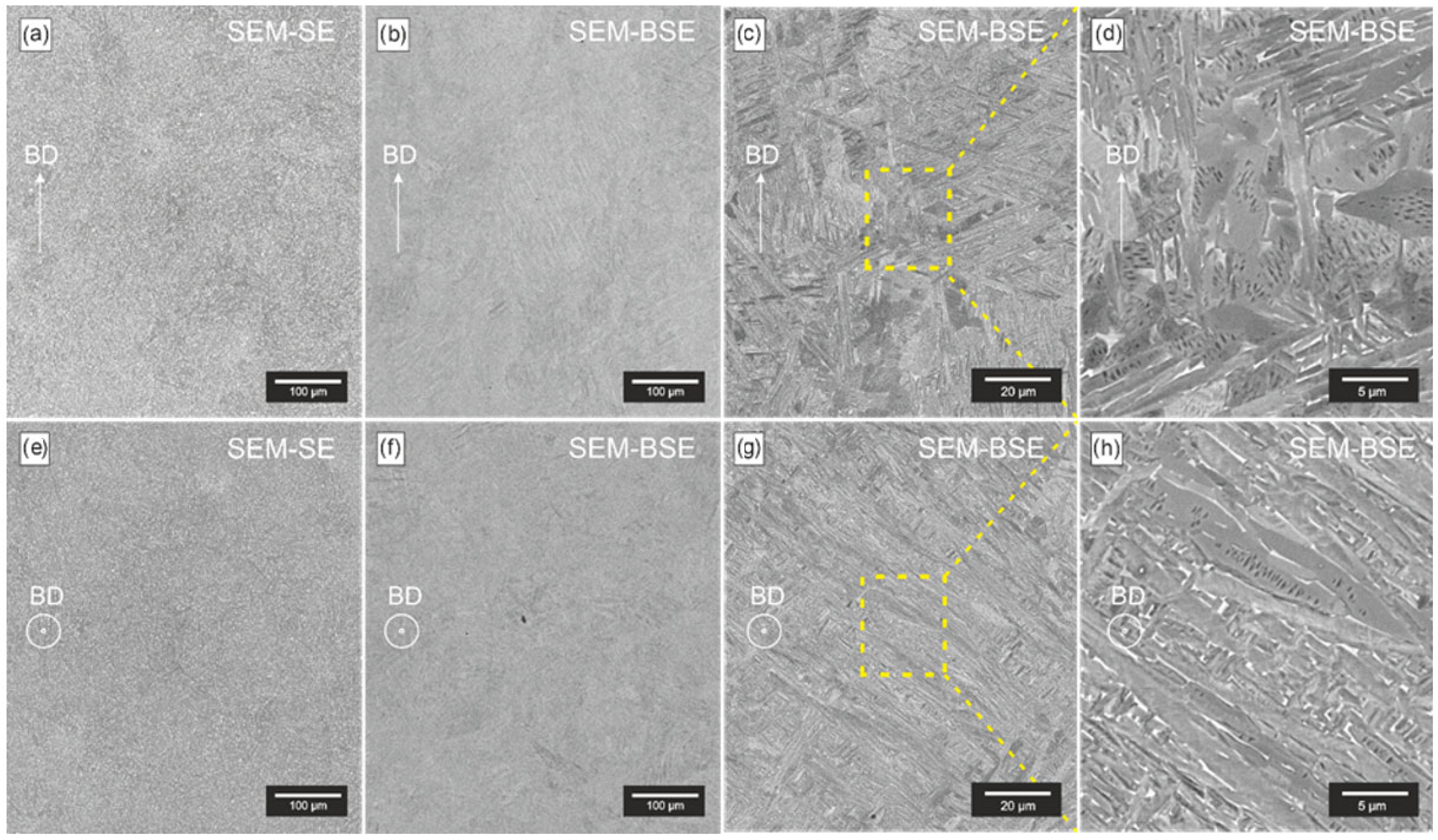 Applsci 15 11624 g011 Applsci 15 11624 g011