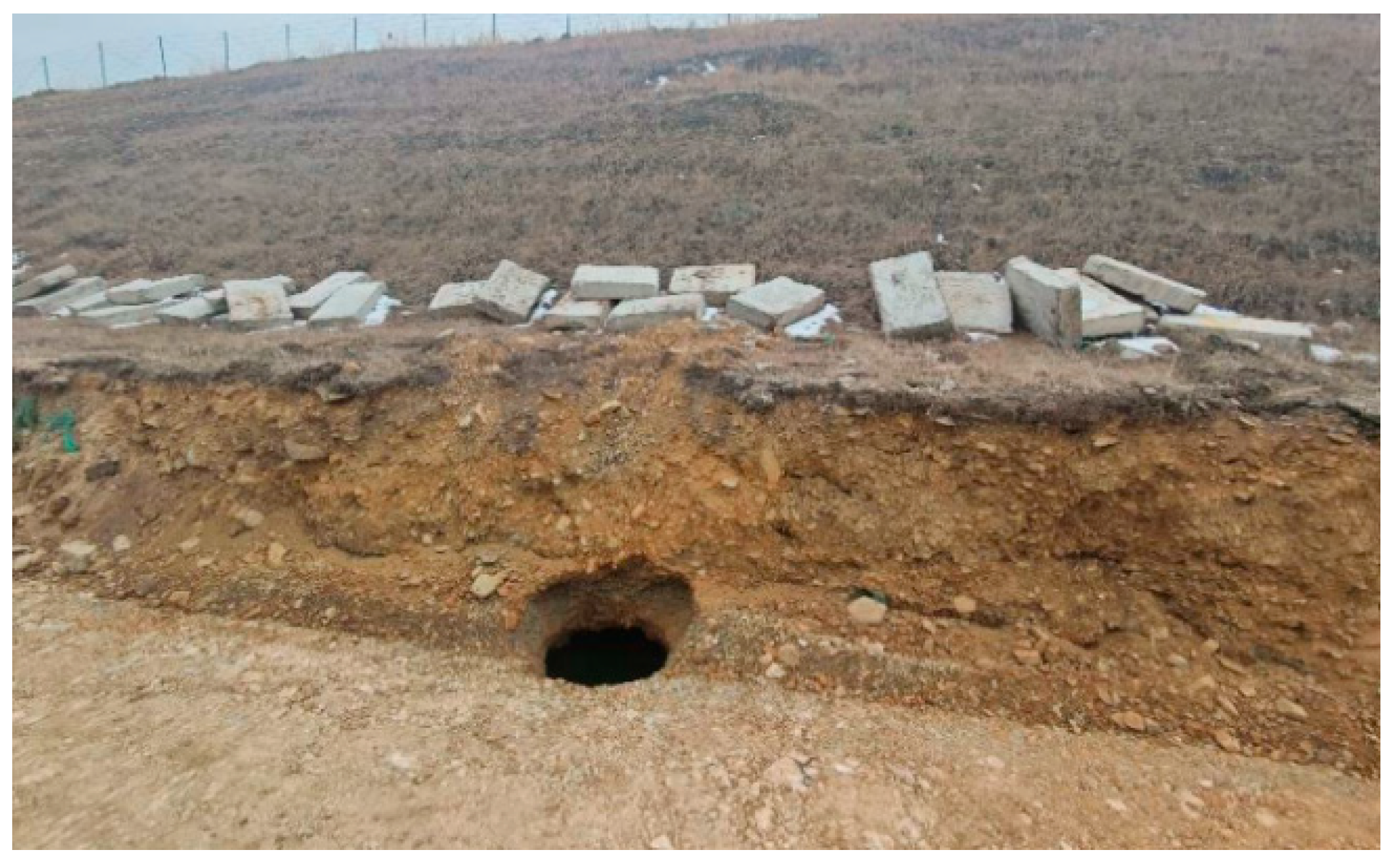 Applsci 15 11626 g007