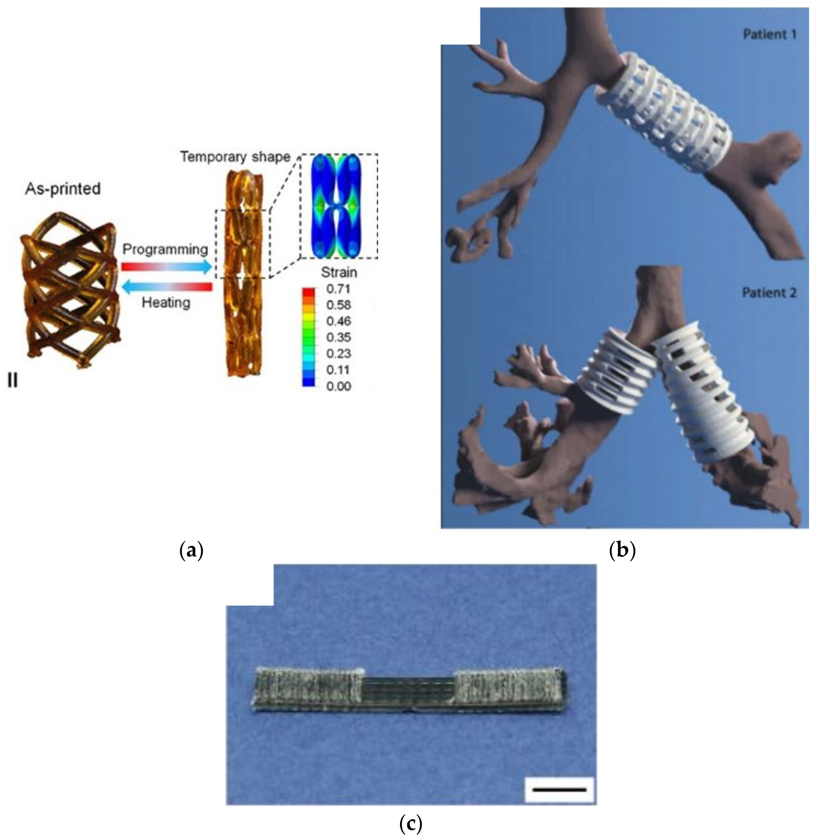 Applsci 15 11641 g005