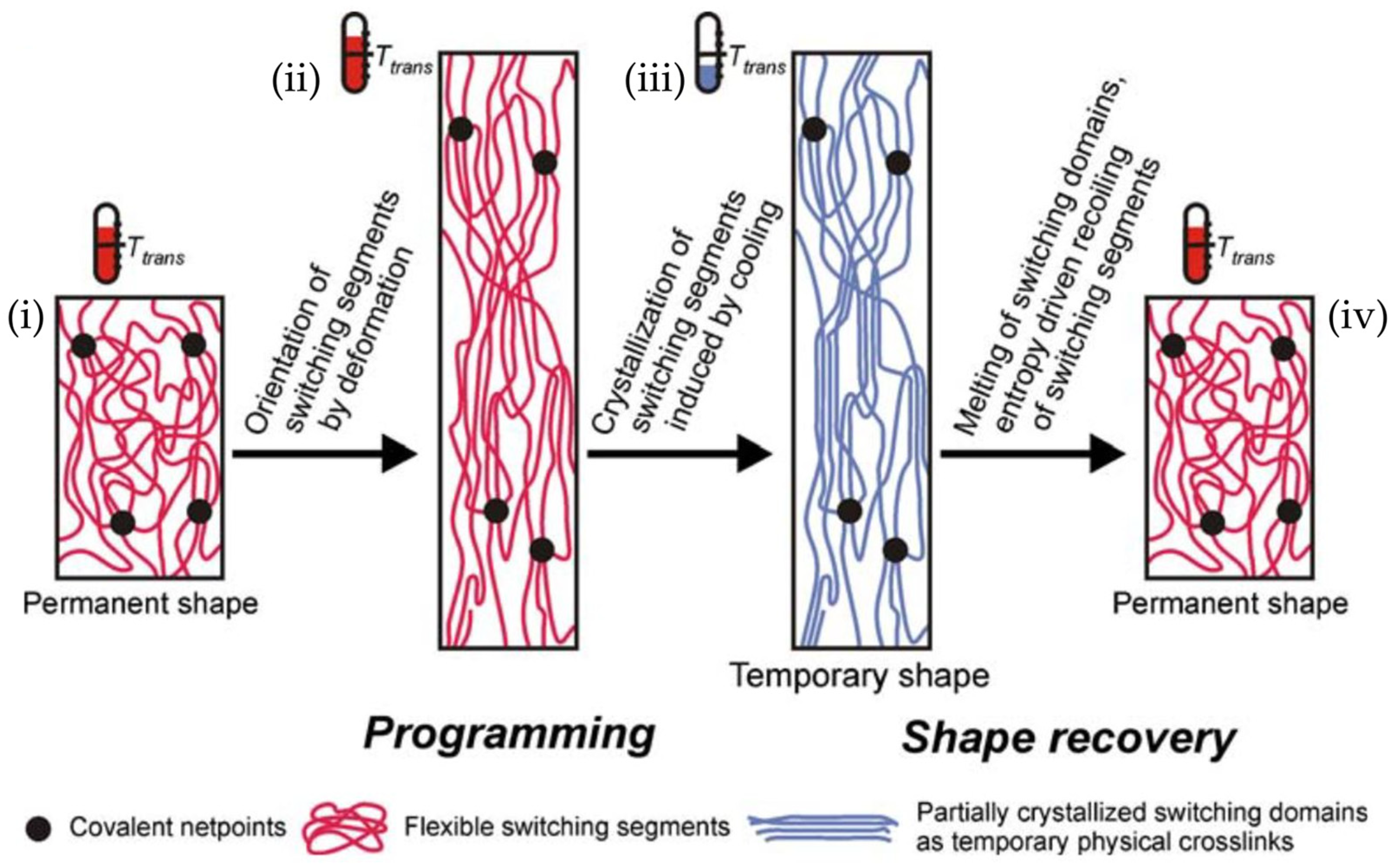 Applsci 15 11641 g008