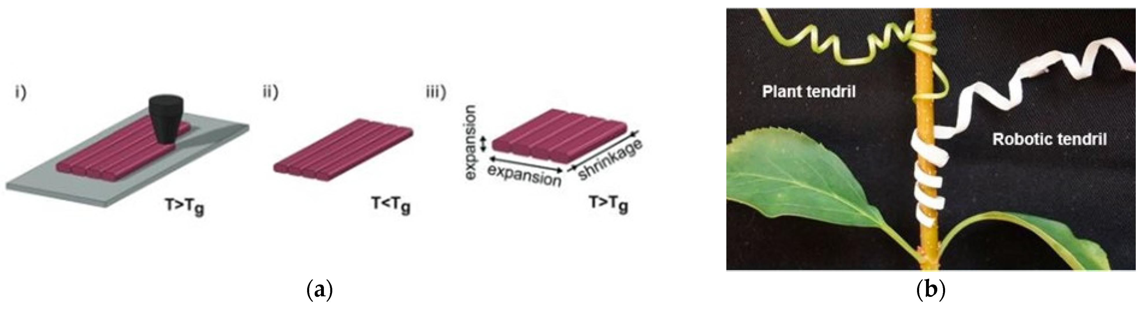 Applsci 15 11641 g010