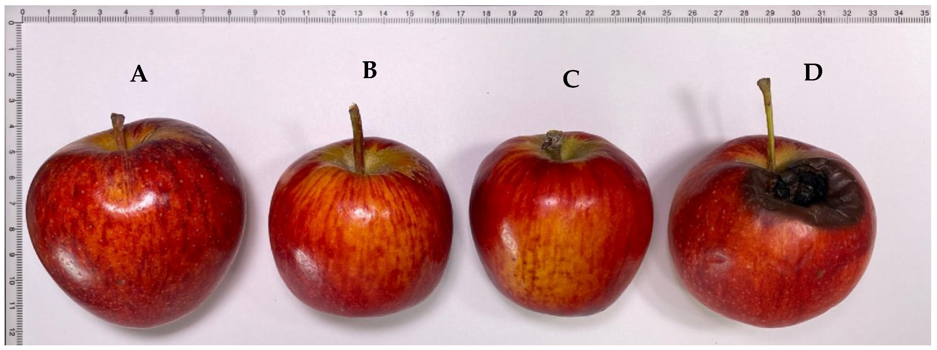 Applsci 15 11644 g002