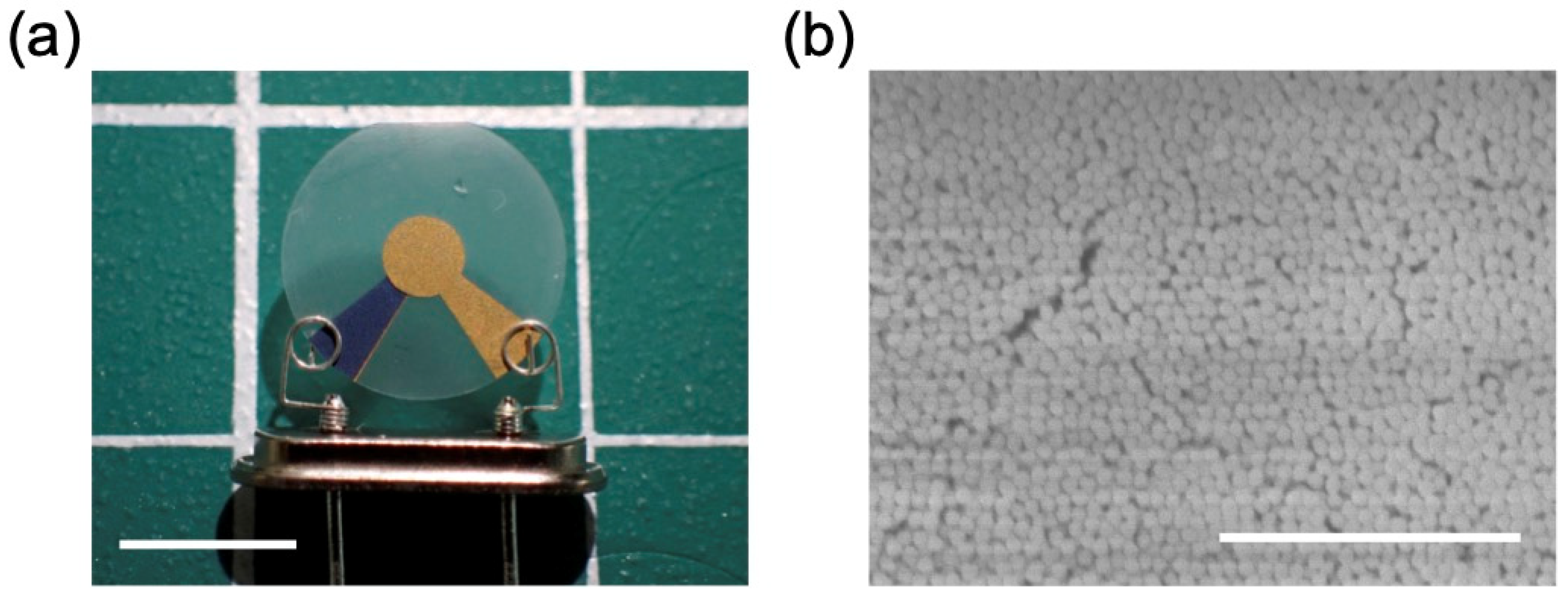 Applsci 15 11648 g002