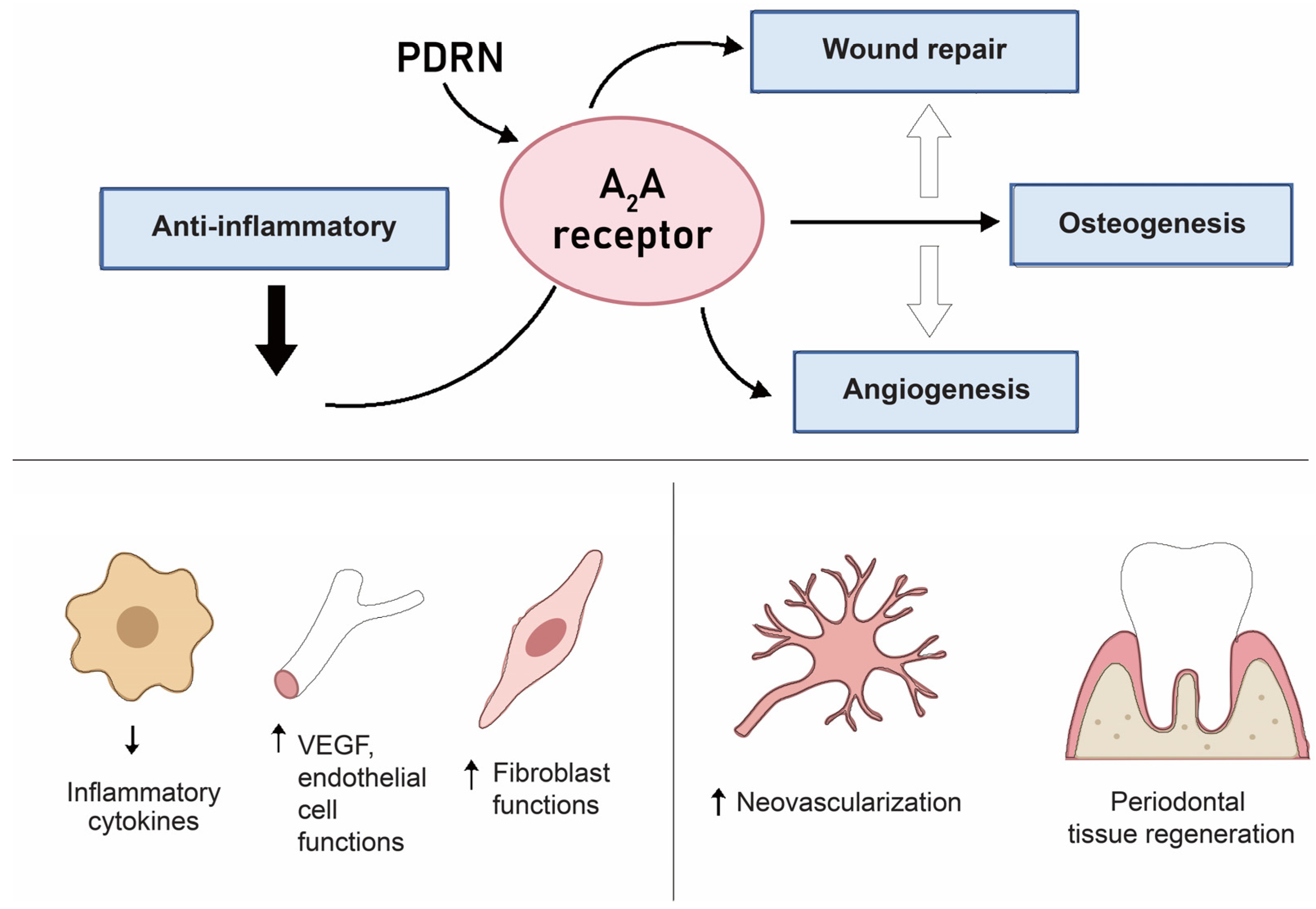 Applsci 15 11655 g004