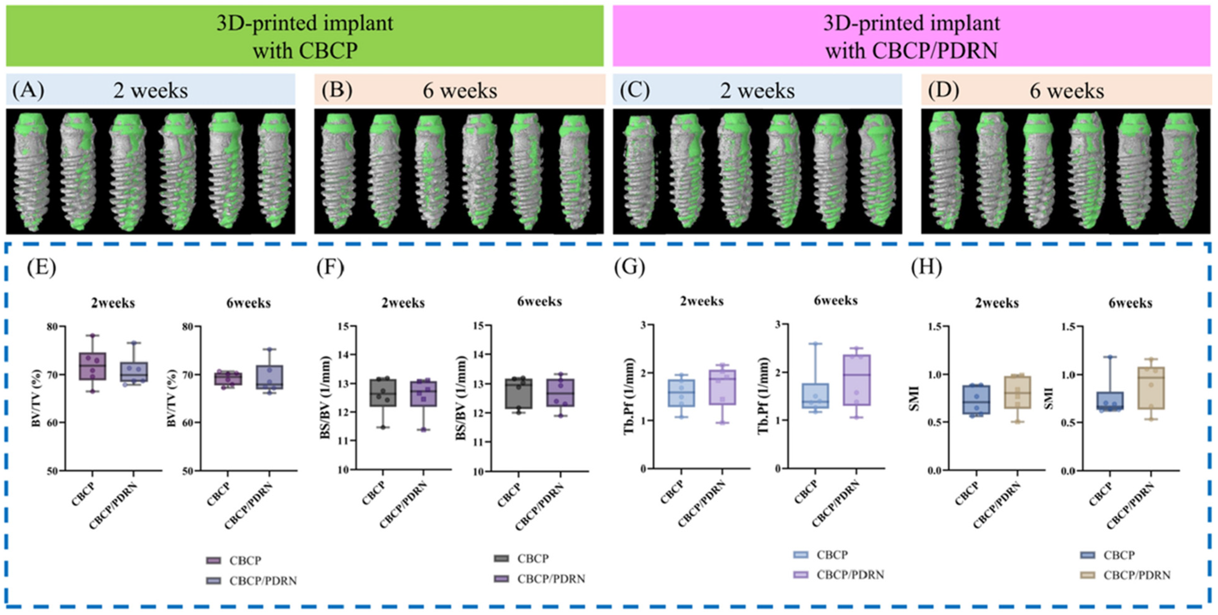 Applsci 15 11655 g005