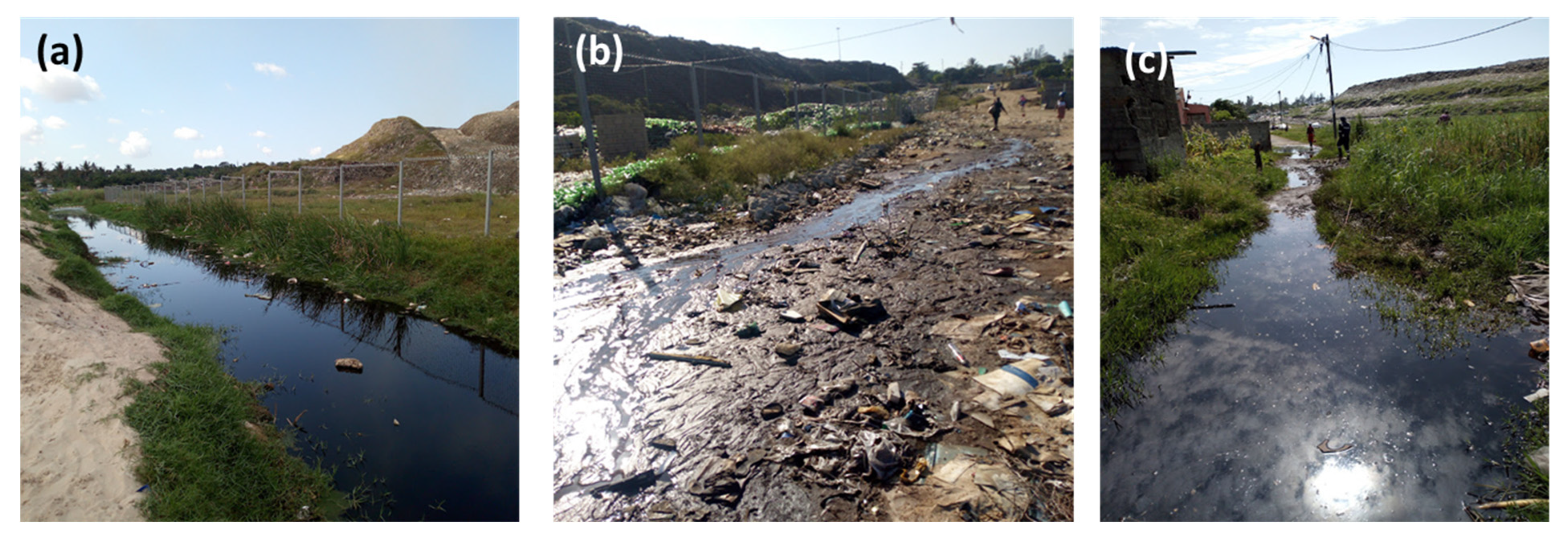 Applsci 15 11663 g008