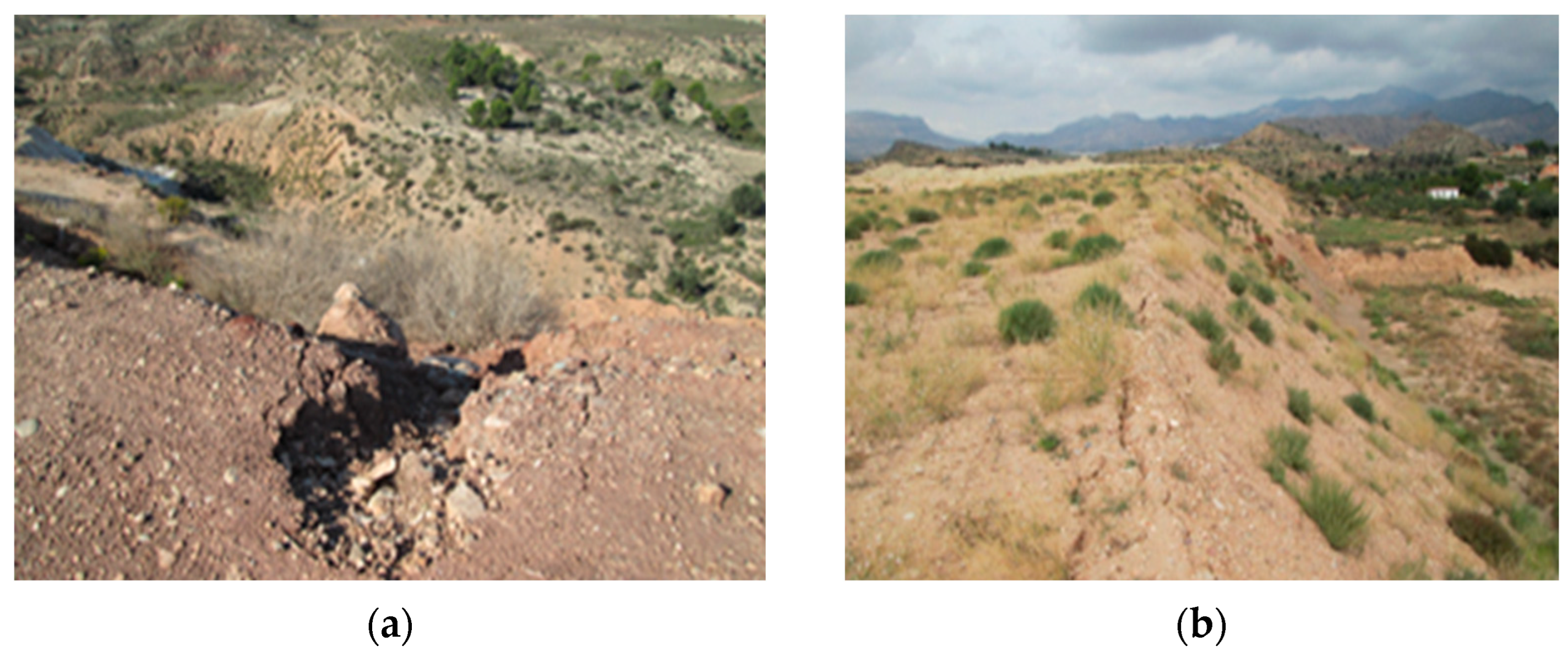 Applsci 15 11664 g002