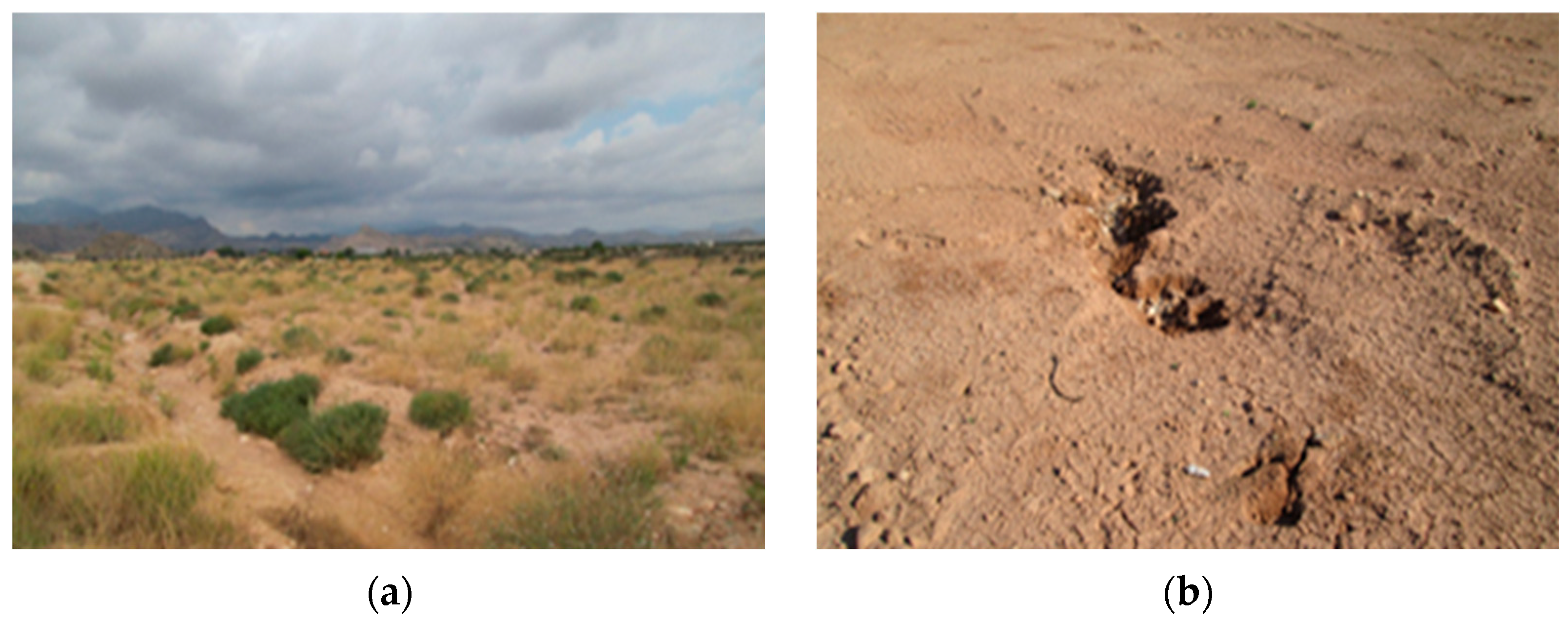 Applsci 15 11664 g003