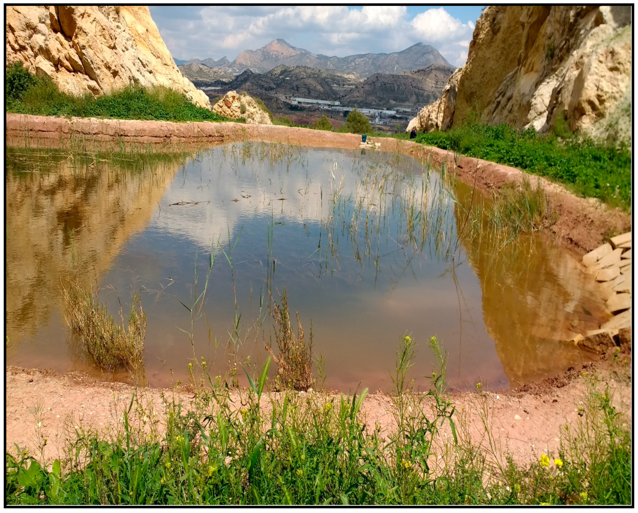 Applsci 15 11664 g005