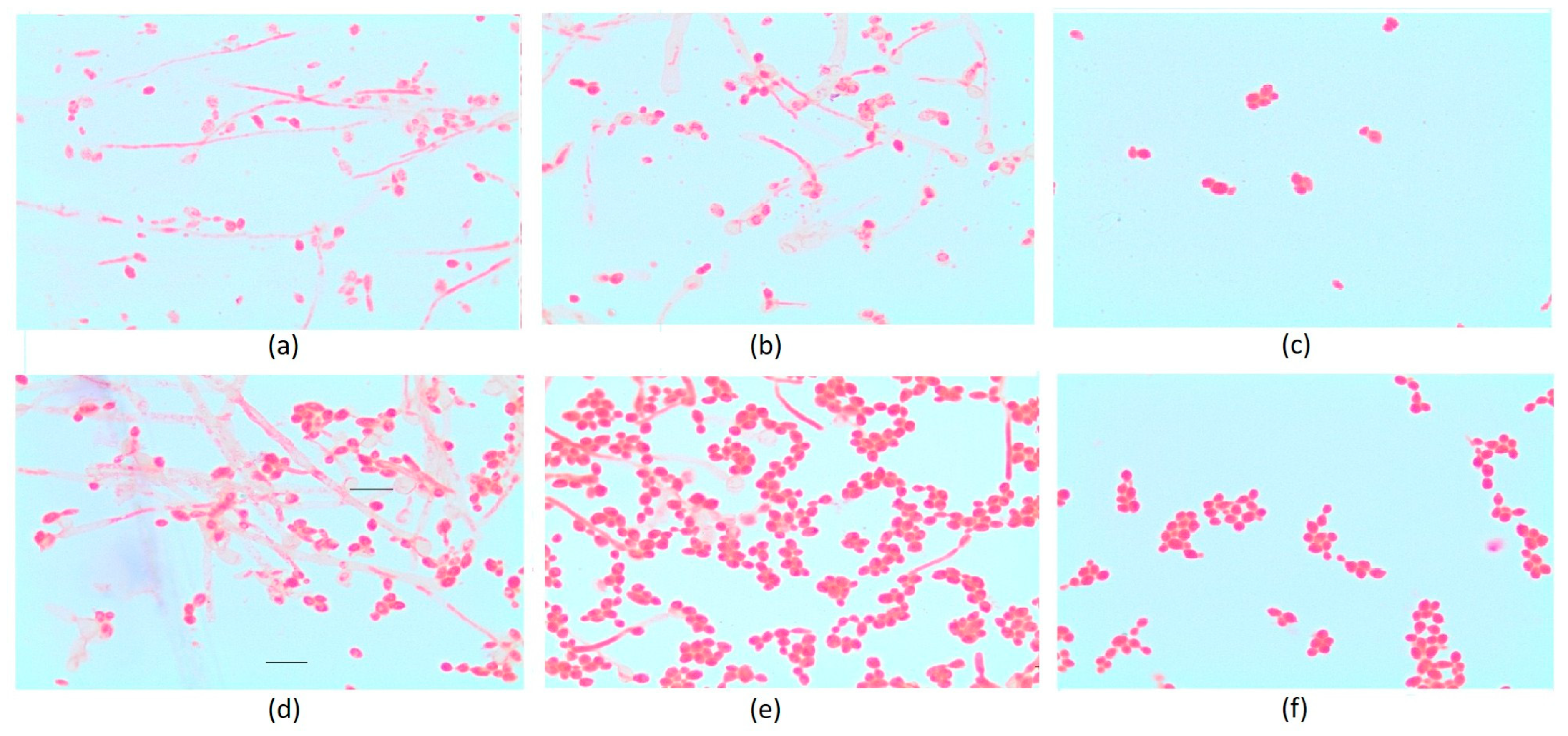 Applsci 15 11672 g005