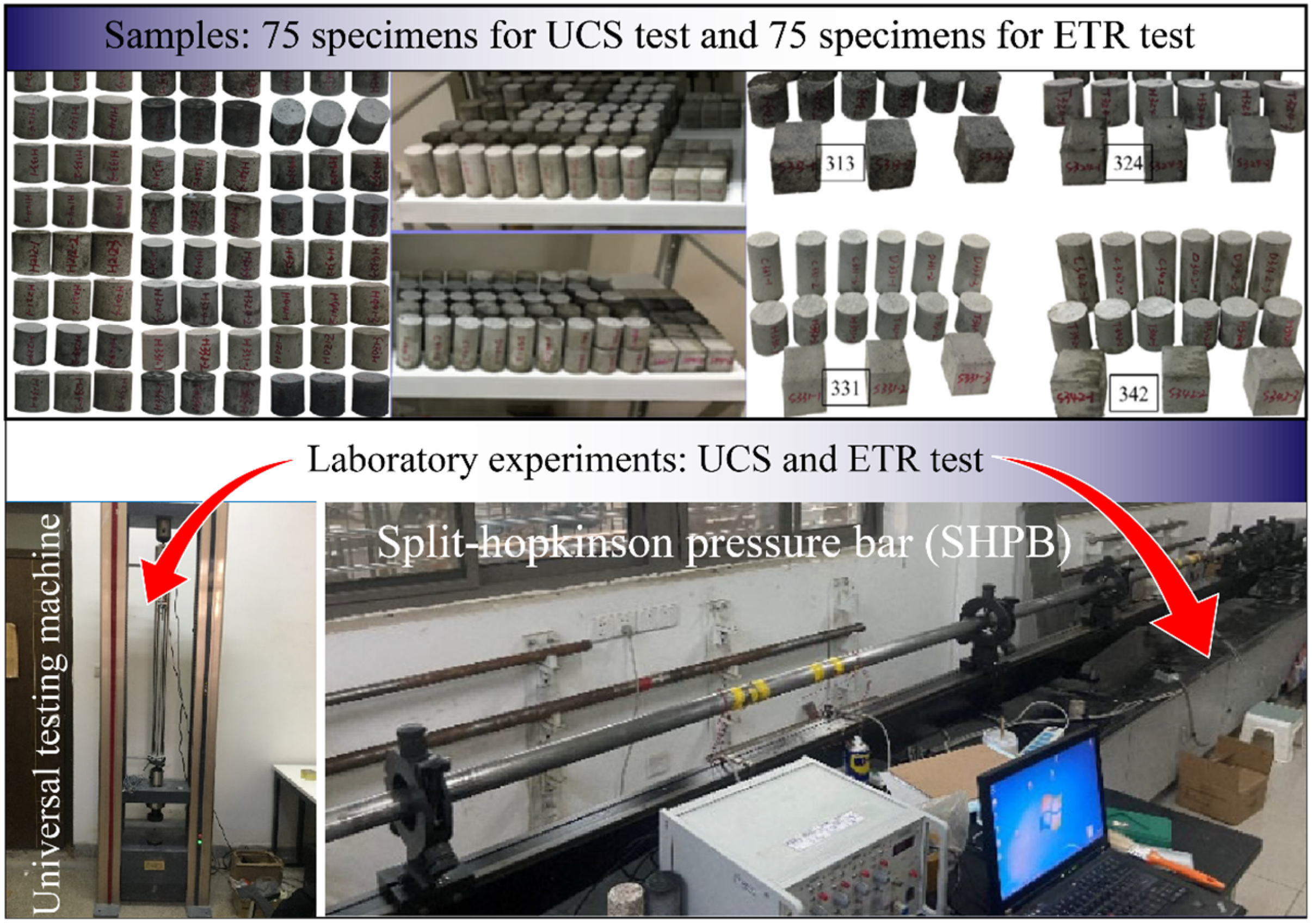 Applsci 15 11680 g001 Applsci 15 11680 g001