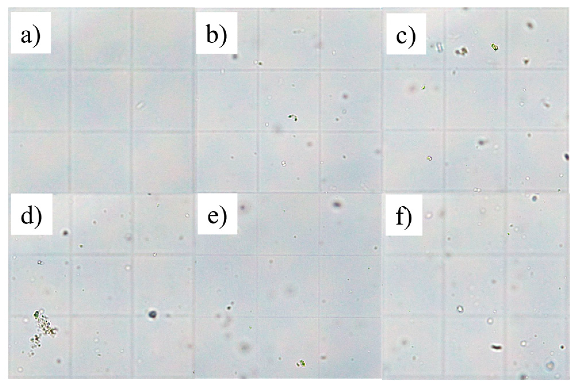 Applsci 15 11697 g002