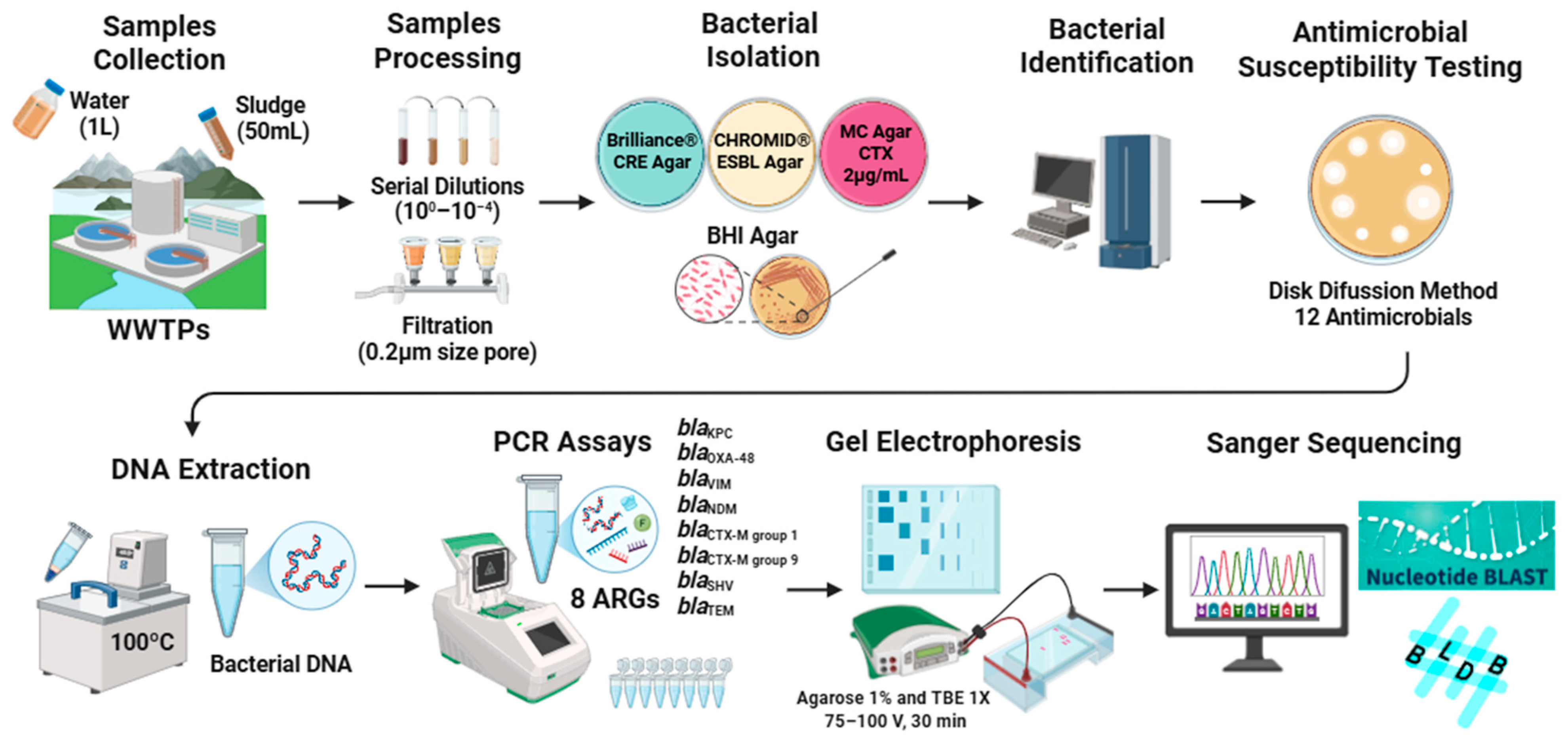 Applsci 15 11703 g001