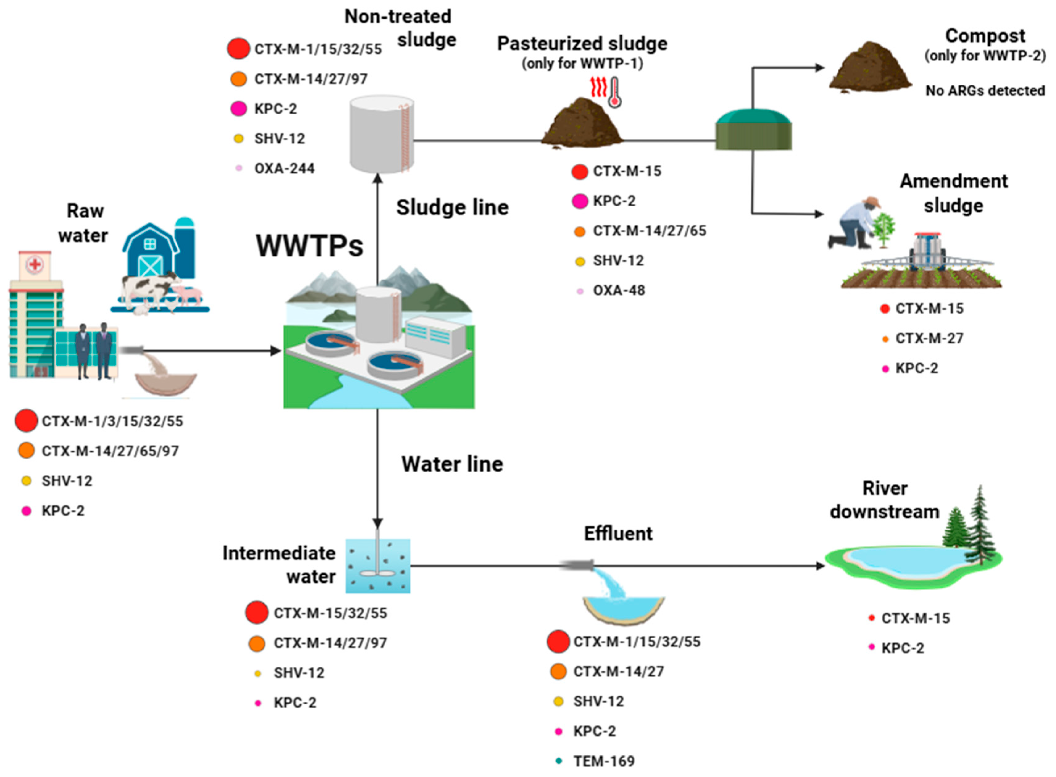 Applsci 15 11703 g005