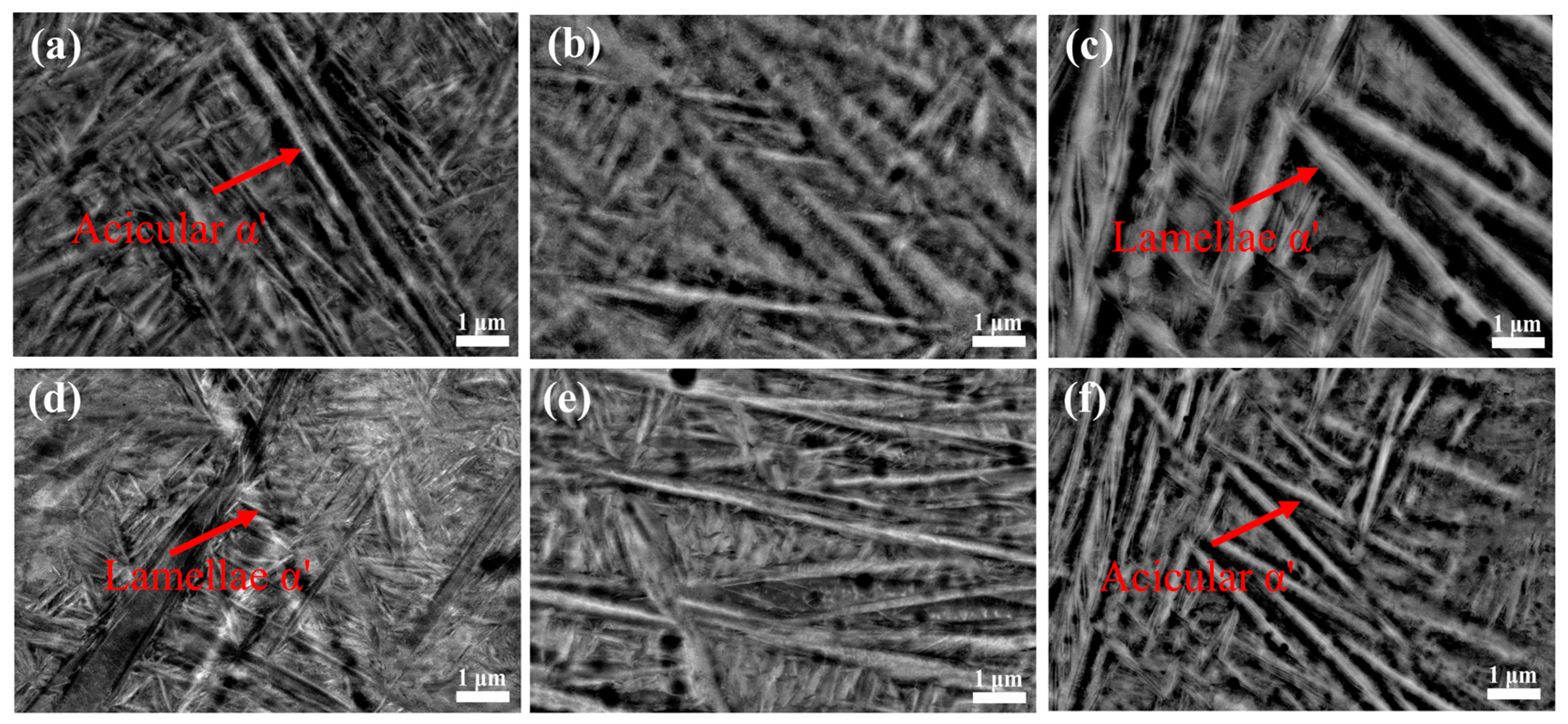 Applsci 15 11717 g014